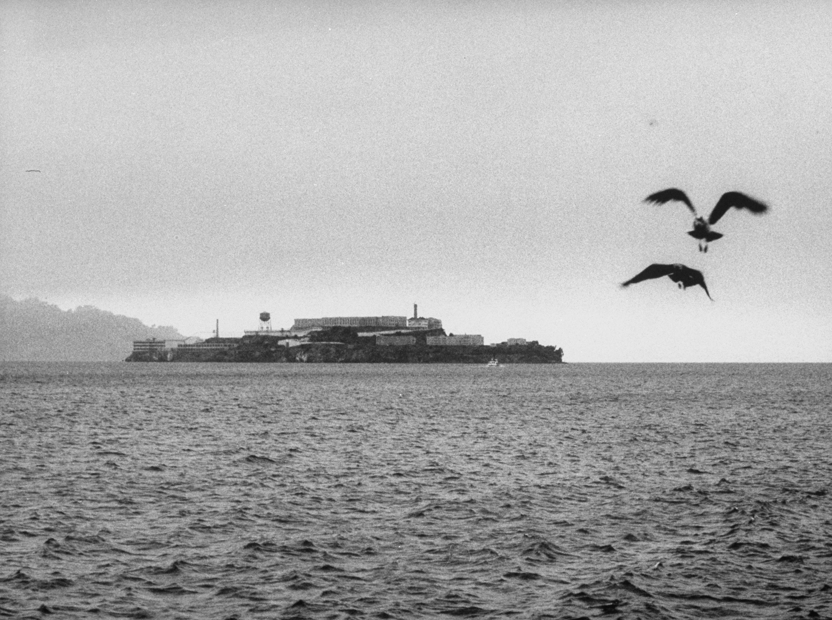 Picture of Alcatraz prison, after the June 1962 escape. (Jon Brenneis&mdash;The LIFE Images Collection/Getty Images)