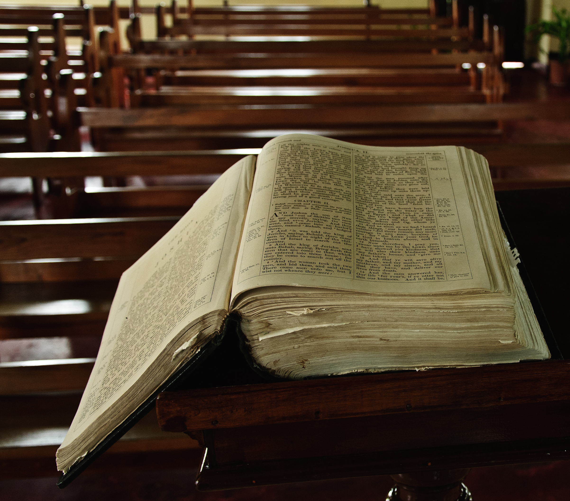 A bible (Michael Dümmler— EyeEm&/Getty Images)