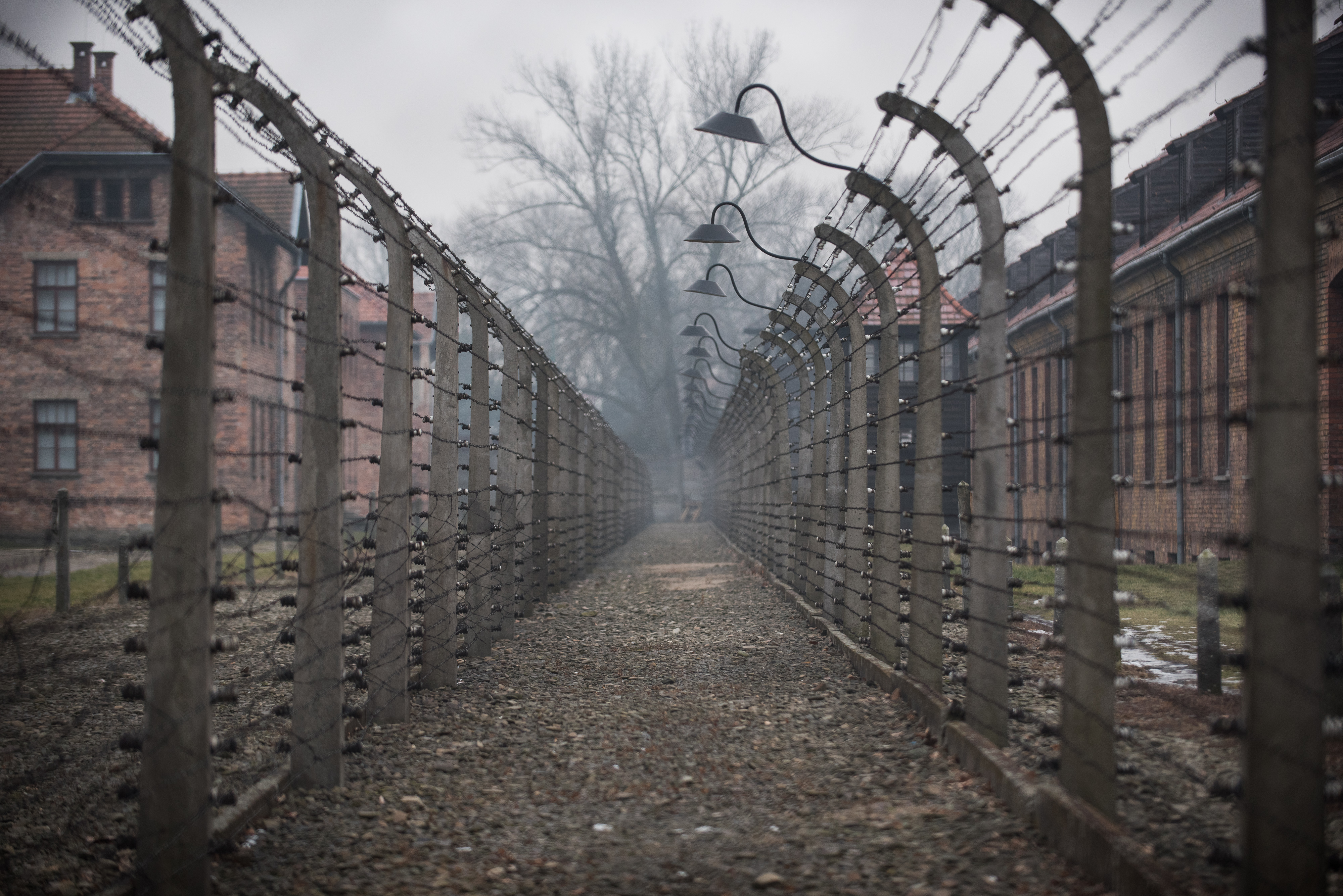 Poland's Holocaust Law: What You Need To Know | Time