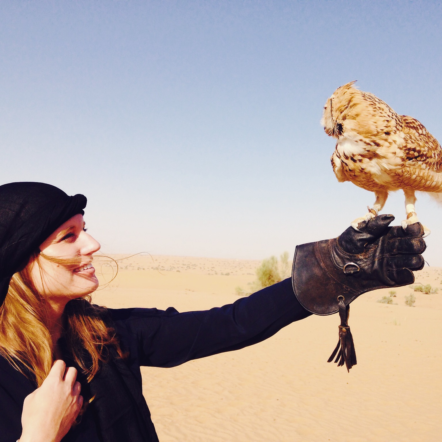 Katherine Conaway at a falconry tour in the desert outside of Dubai (Courtesy of Katherine Conaway)