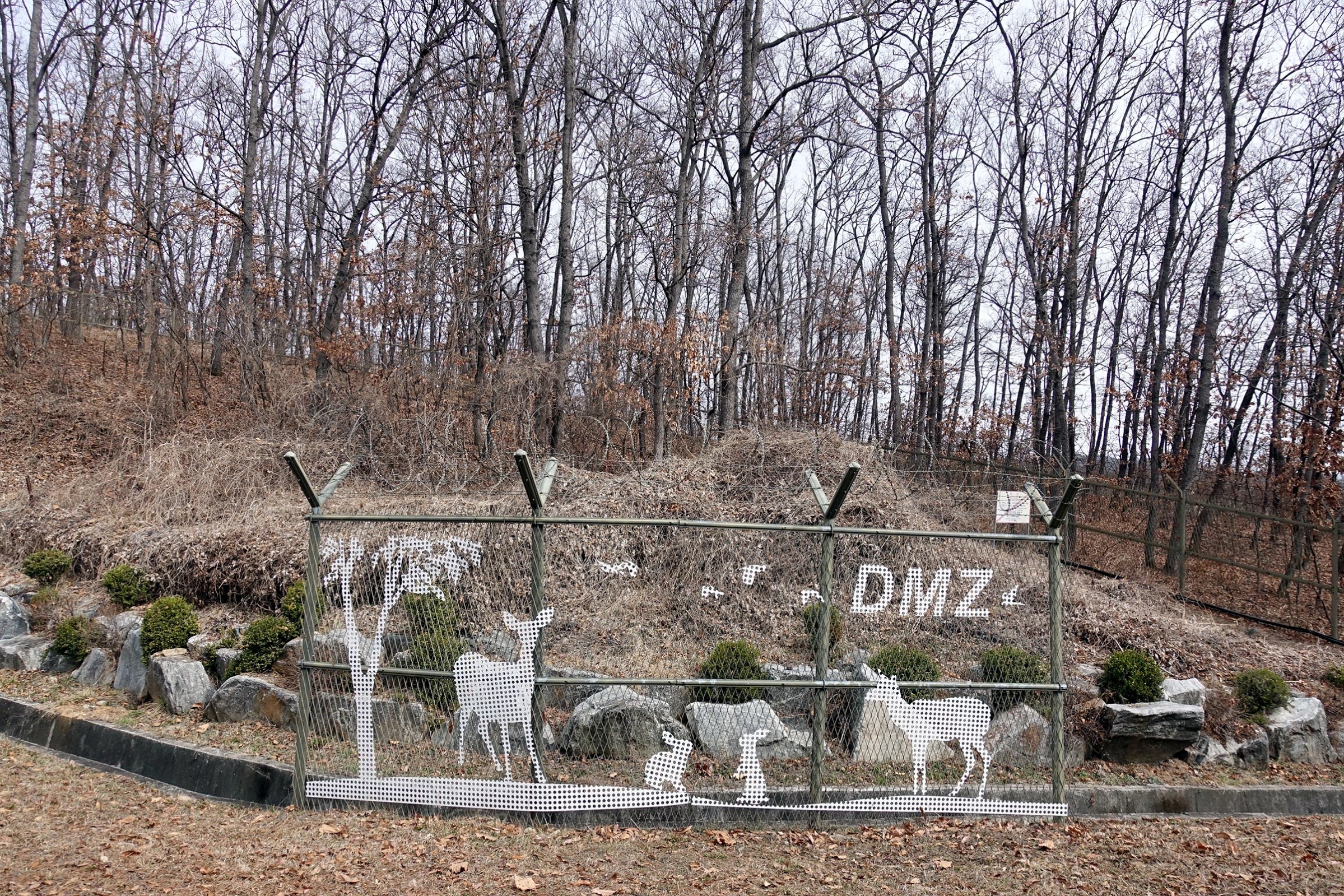 A decorated fence next to a suspected minefield inside the DMZ