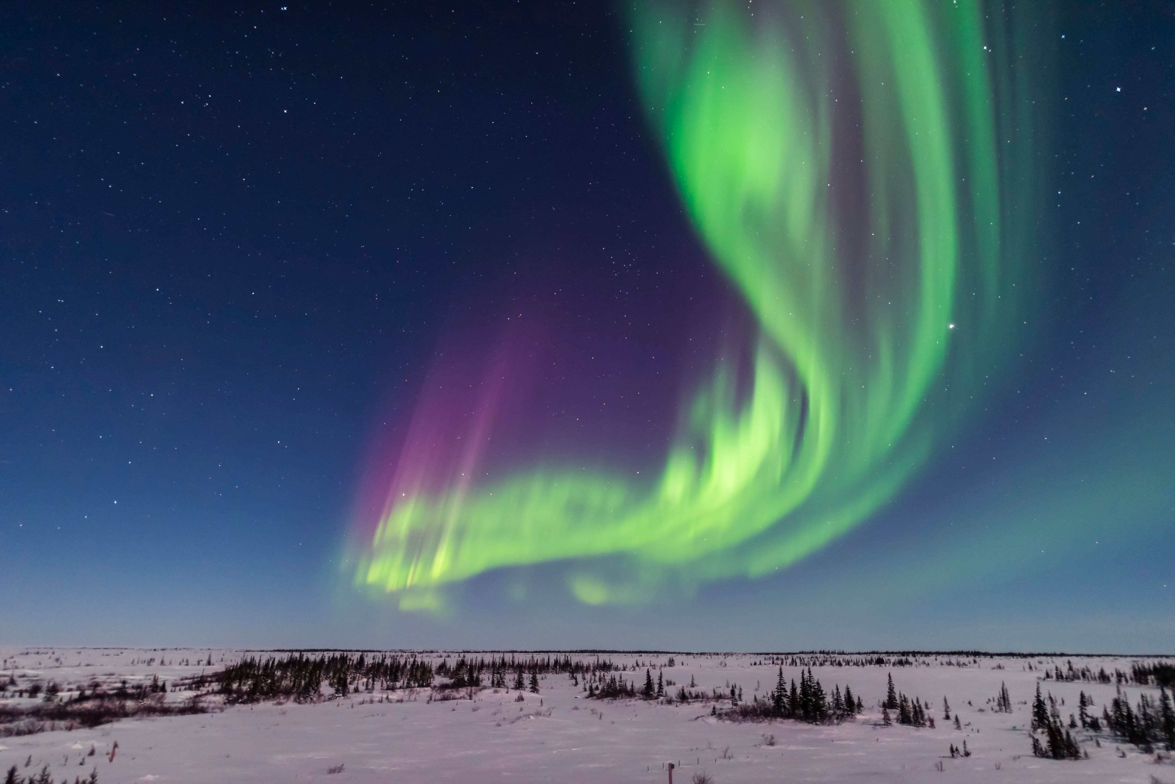 A superb display of aurora borealis seen on March 14