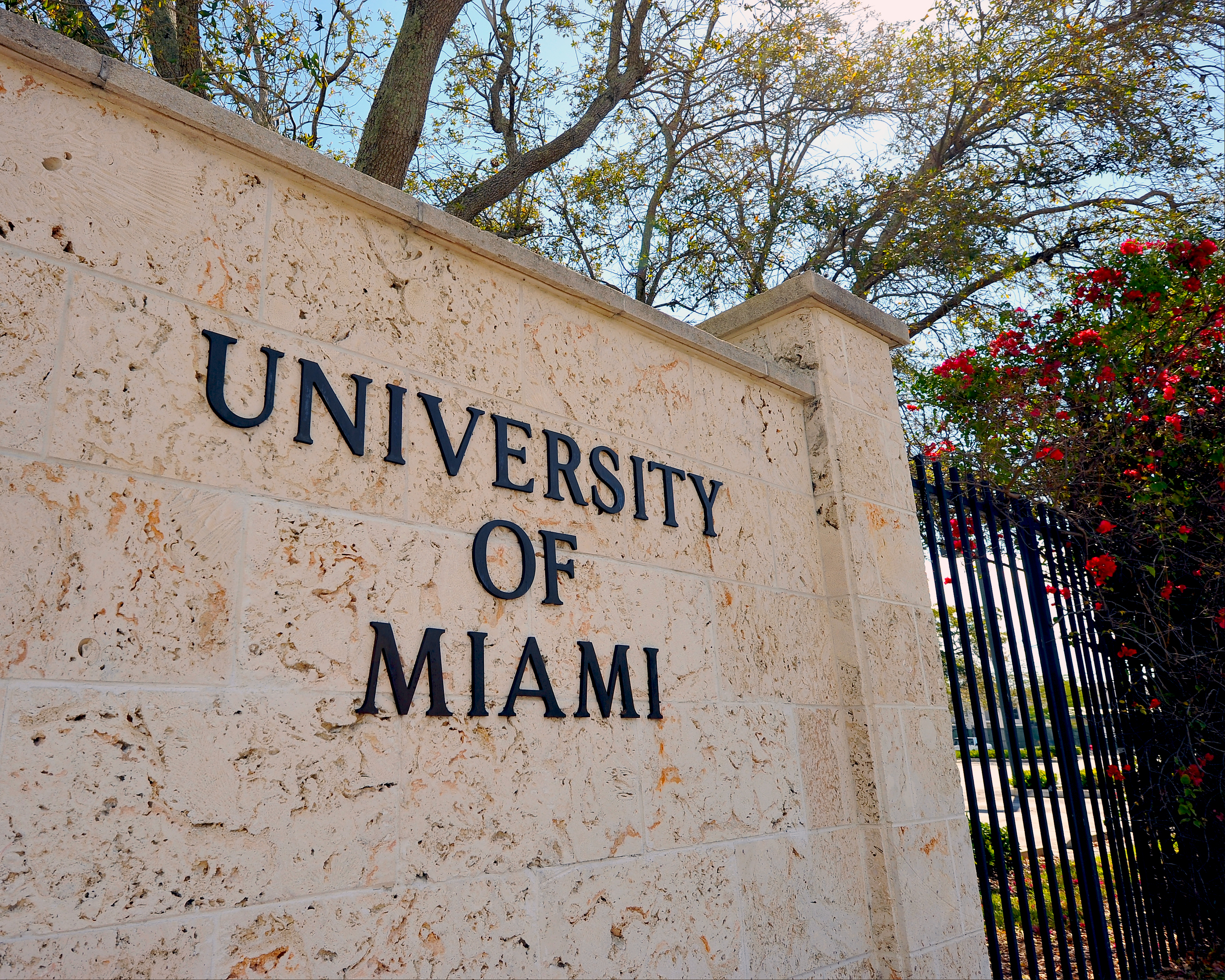 A view of a University of Miami entrance sign is seen on campus of the Miami Hurricanes on Feb. 9, 2013 in Coral Gables, Florida. (Lance King—Replay Photos/Getty Images)