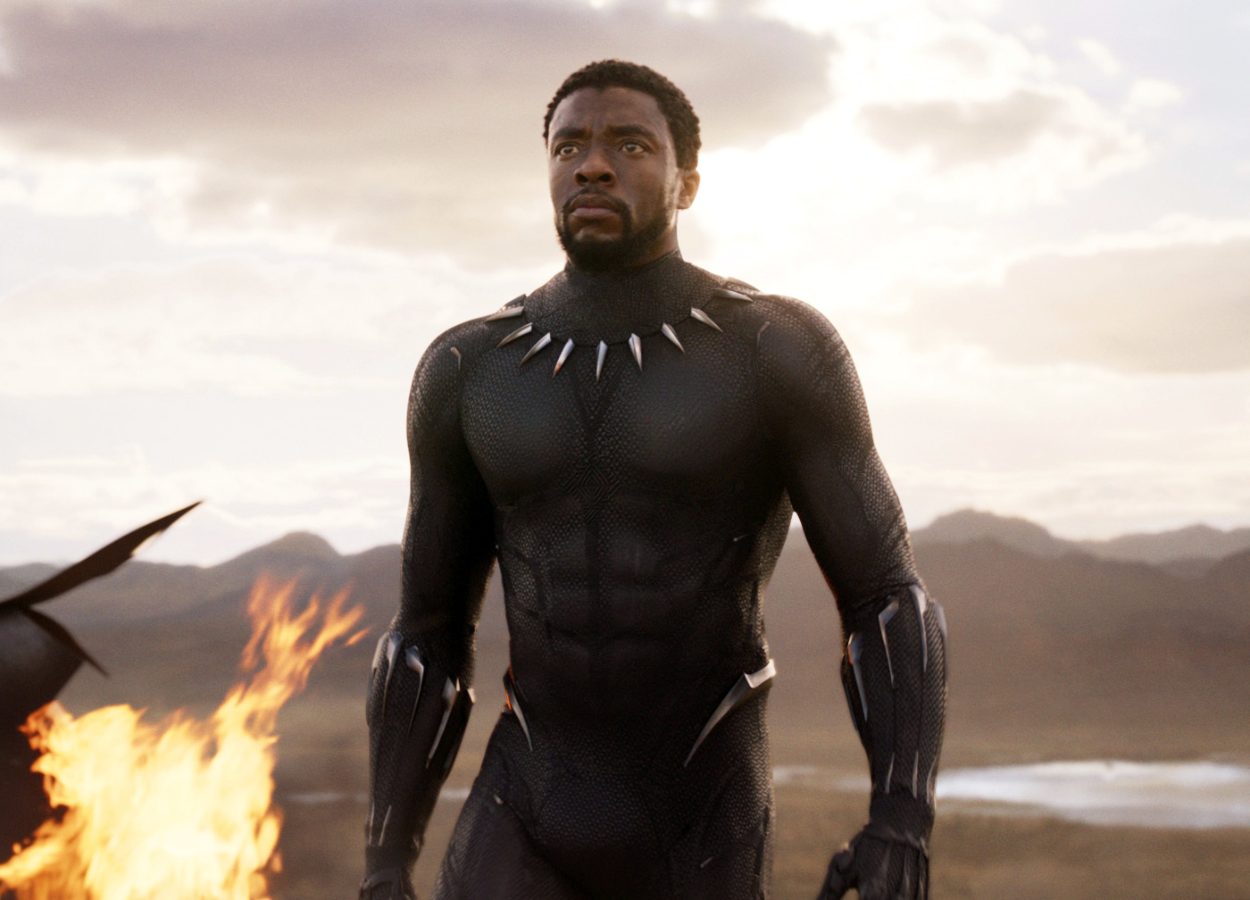 Enter Chadwick Boseman "Black Panther." (Marvel Studios/Disney—AP)
