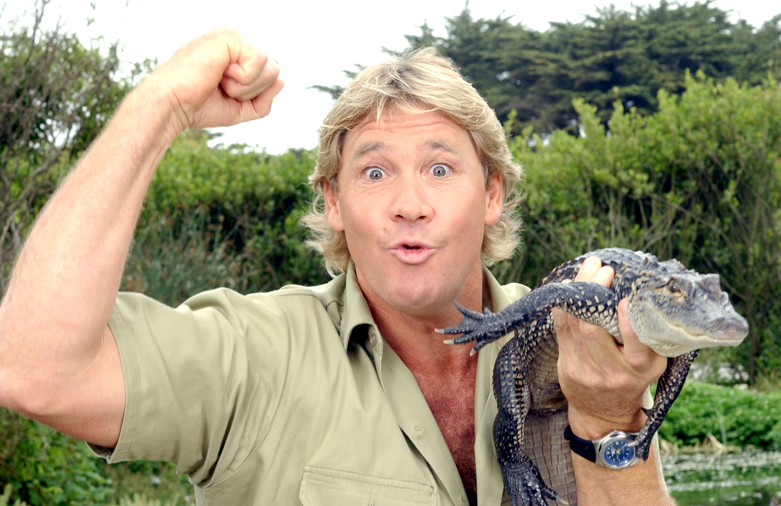 'The Crocodile Hunter', Steve Irwin, poses with a three foot long alligator at the San Francisco Zoo in San Francisco, California on June 26, 2002. (Justin Sullivan—Getty Images)