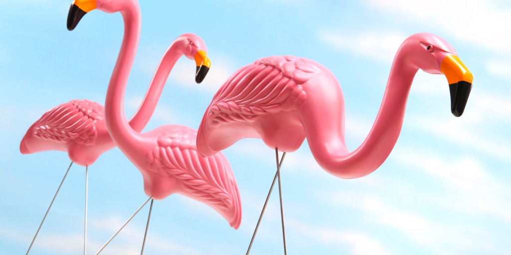 Mingo The Stolen Lawn Flamingo Returns To Owner After Travel Time