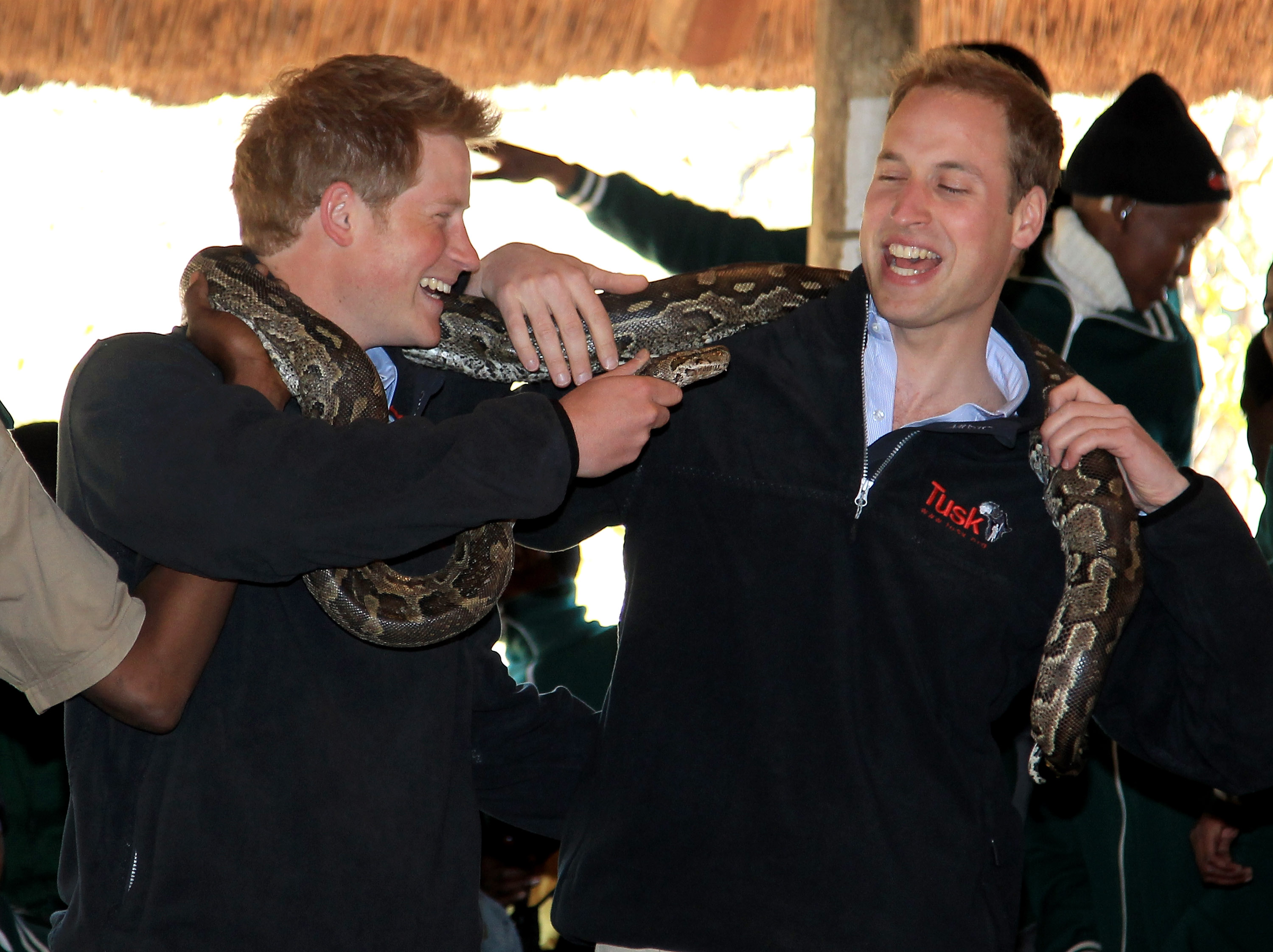 Prince Harry and Prince William (R) hold an African rock python during a visit to Mokolodi Education Centre on June 15, 2010 in Gaborone, Botswana. (Chris Jackson—Getty Images)