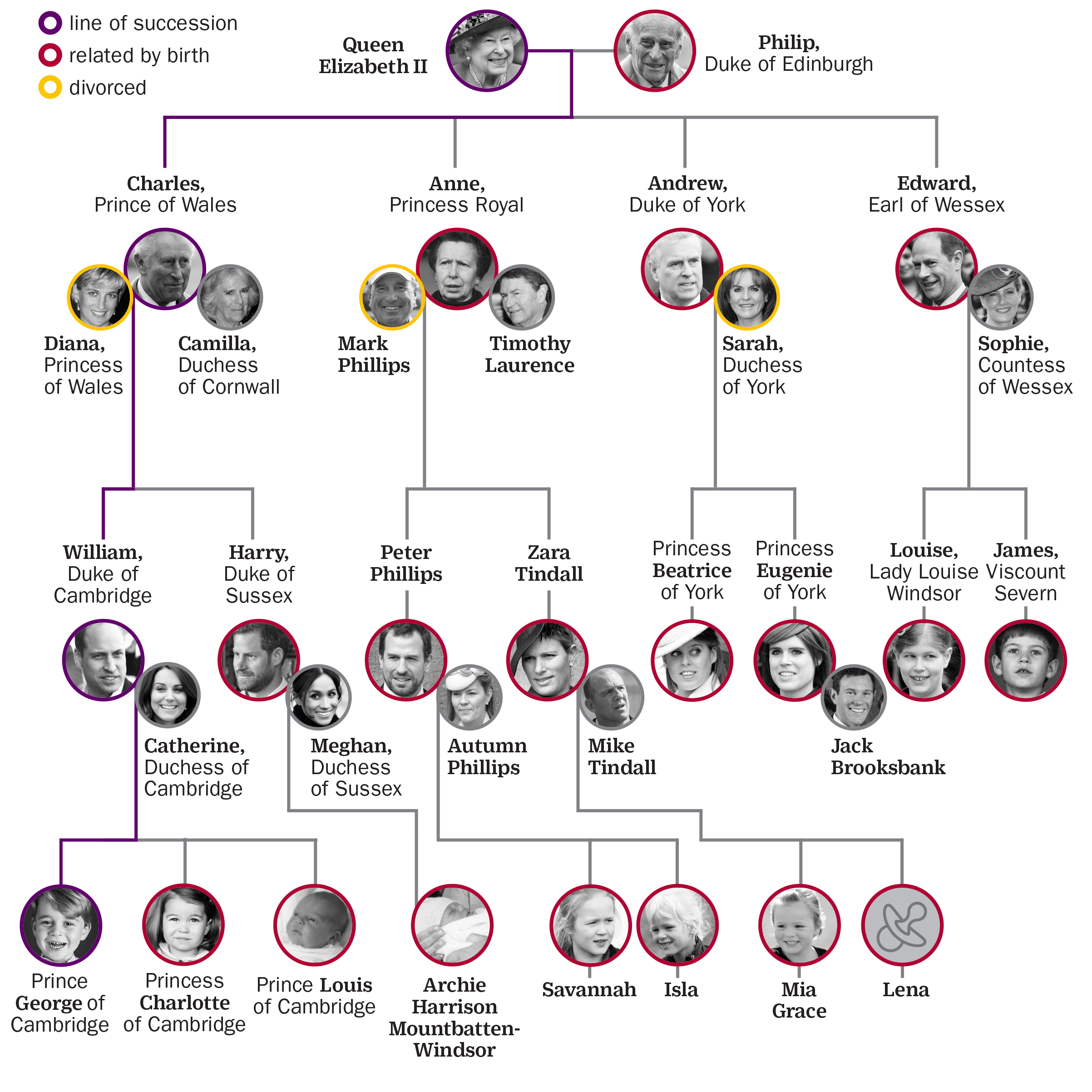 British Royal Family Hierarchy