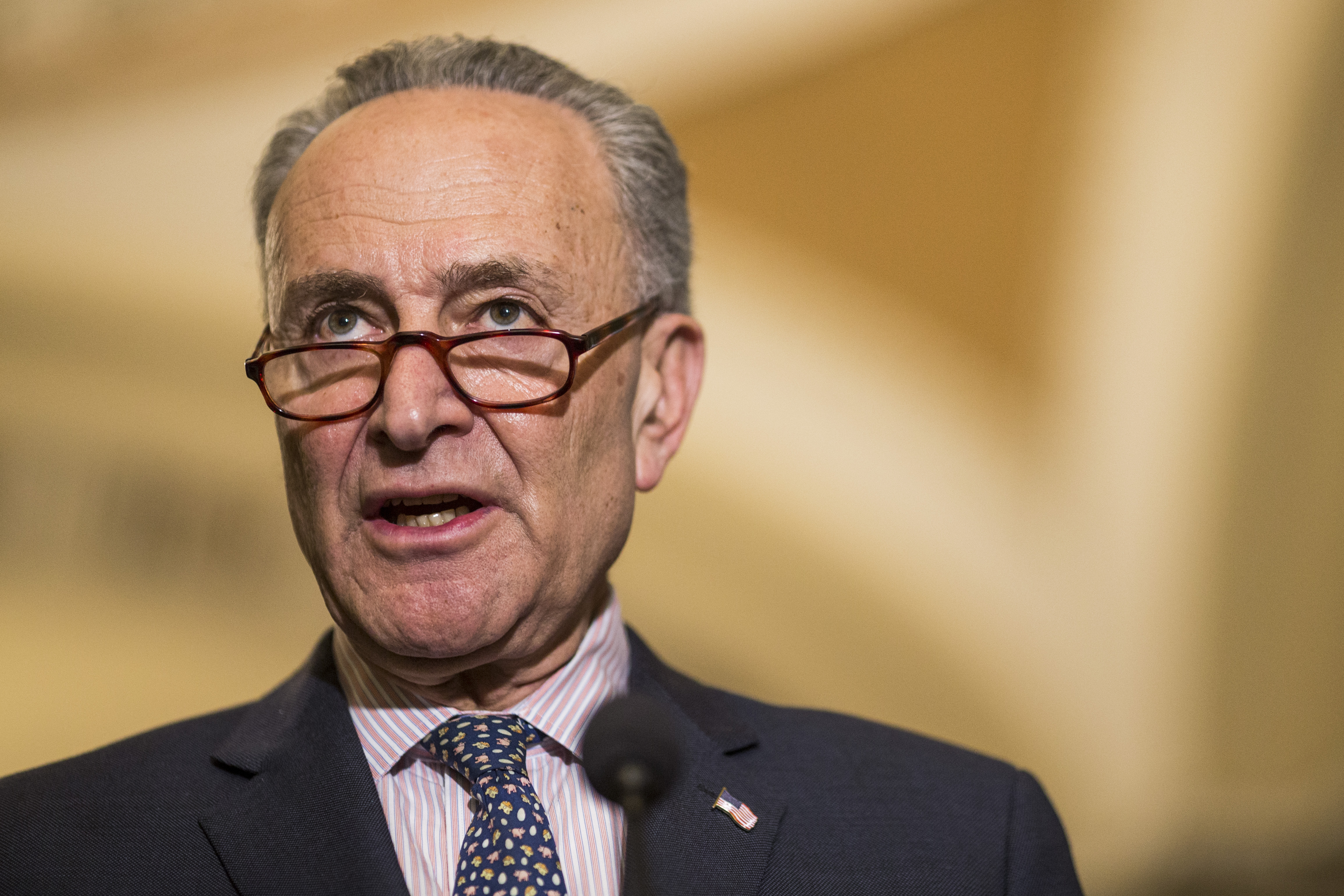 Senate Minority Leader Chuck Schumer (D-NY) speaks during a news conference following weekly policy luncheons on Capitol Hill on April 10, 2018 in Washington, D.C. (Zach Gibson/Getty Images)