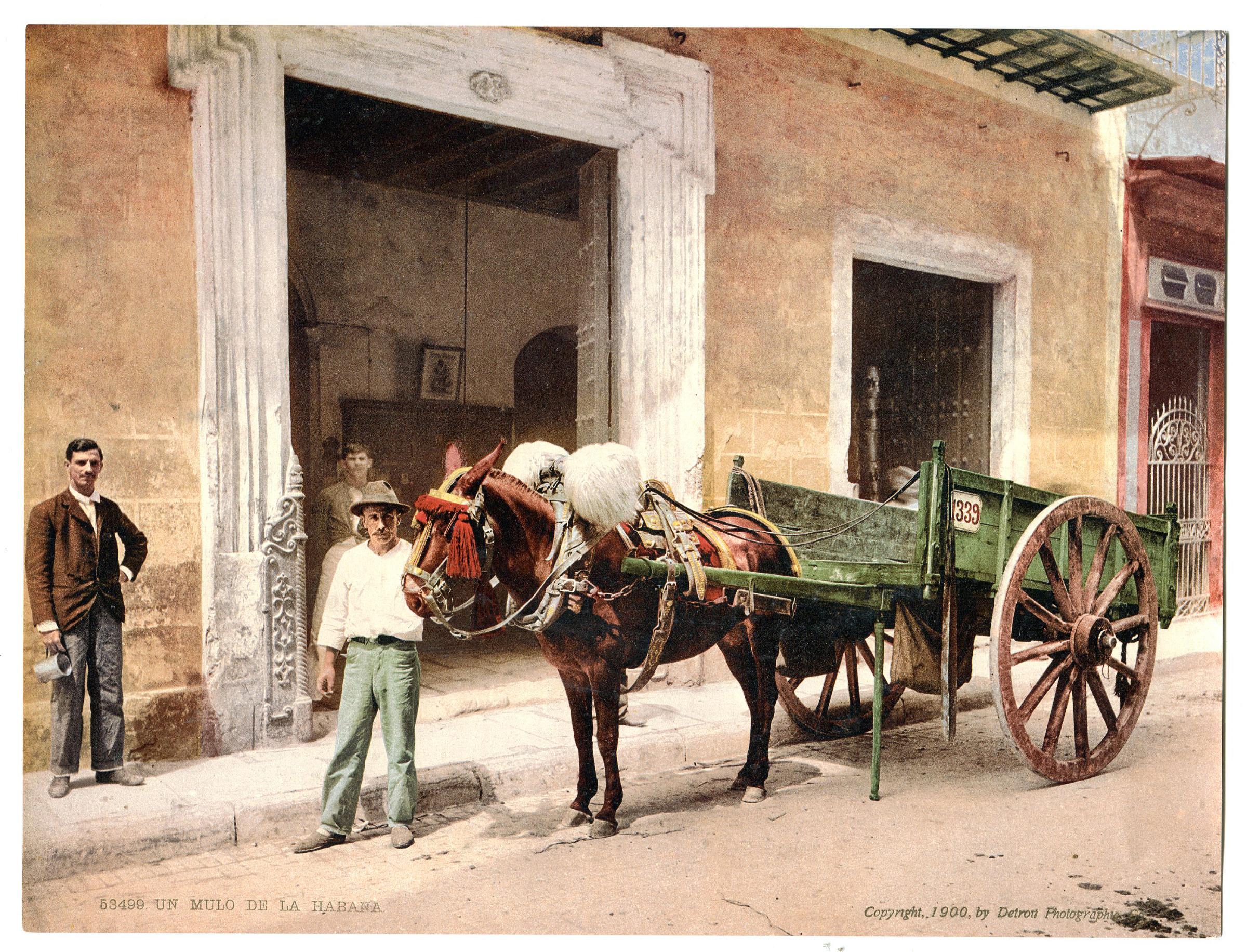Havana, 1900