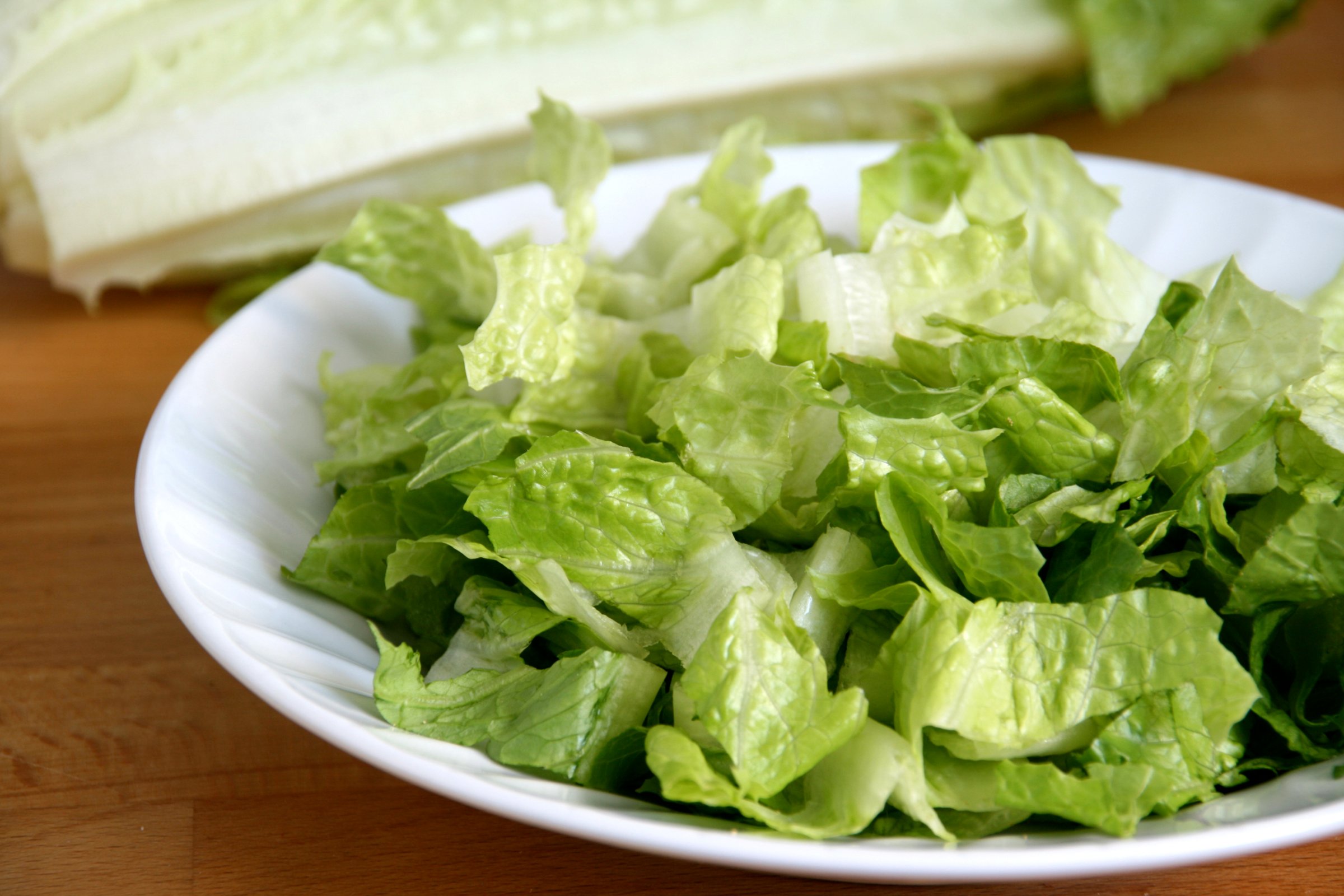 romaine cut salad