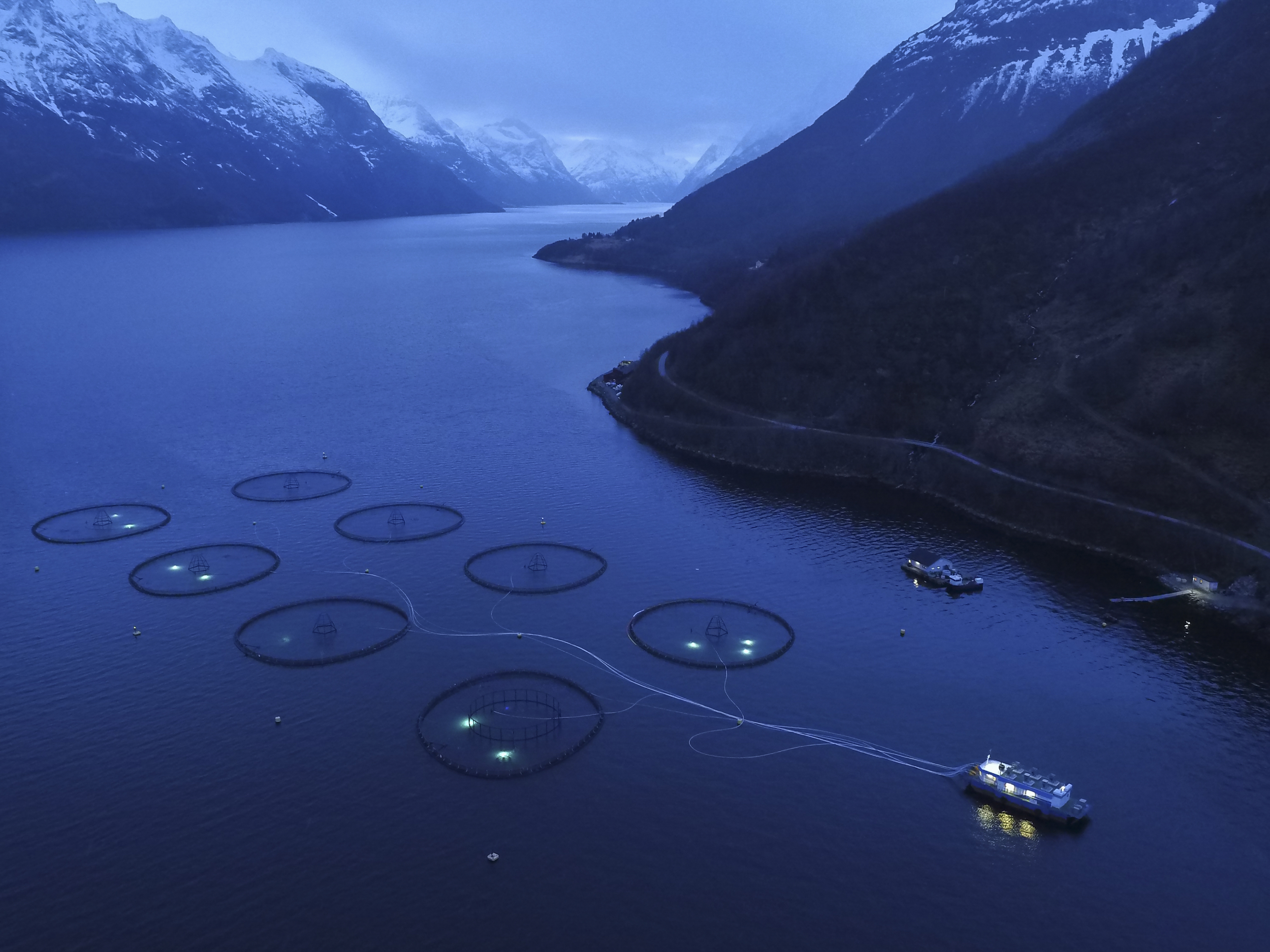 Sagelva salmon farm, on Hjorrund Fjord, with 200,000 atlantic salmon in each of eight pens. Shot by drone in 2016. (George Steinmetz)