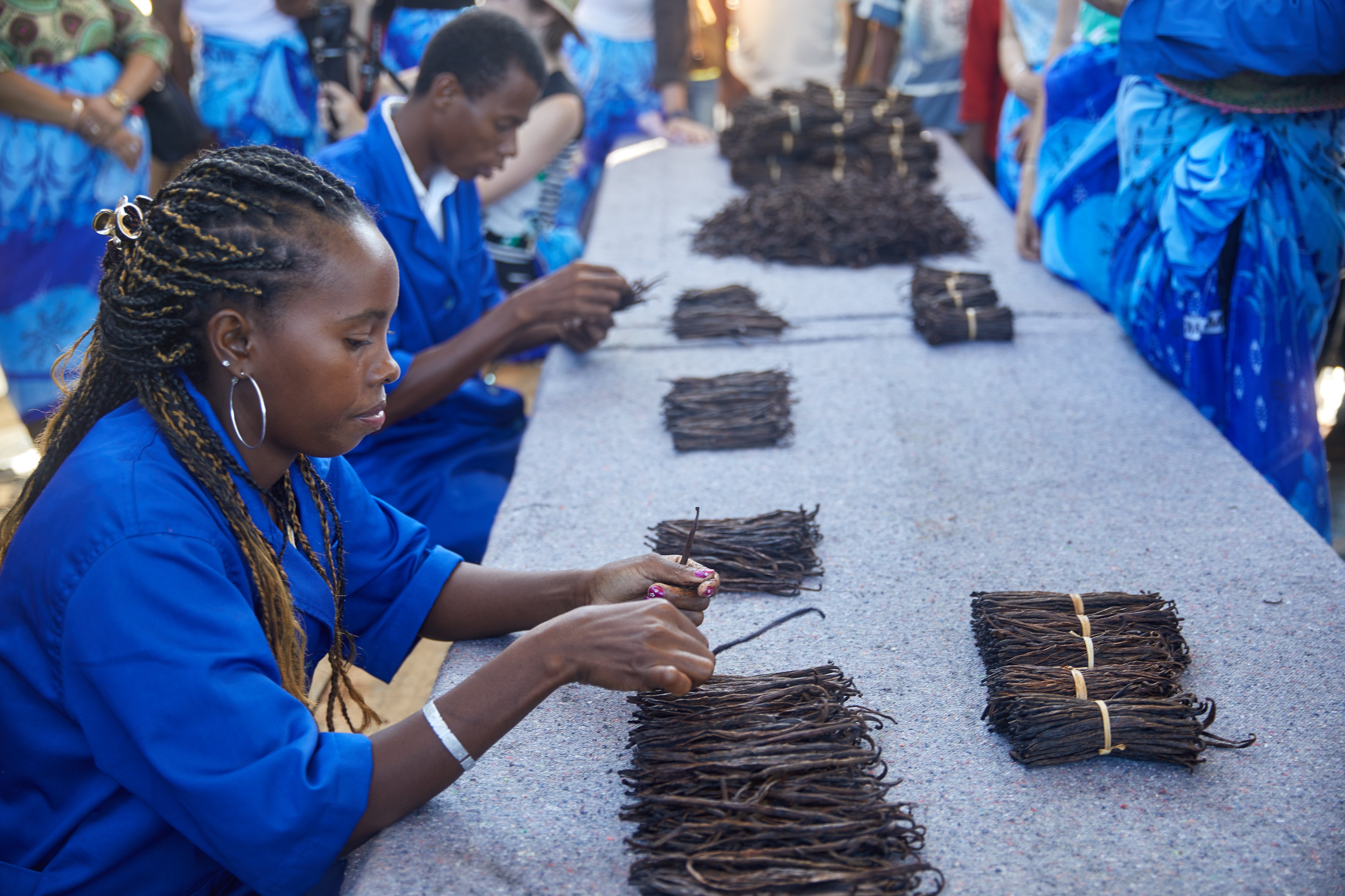 The price of vanilla was $515 per kilogram on June 1 2018. Silver was priced at $527 per kilogram. (Masy Andriantsoa/Livelihoods Funds)