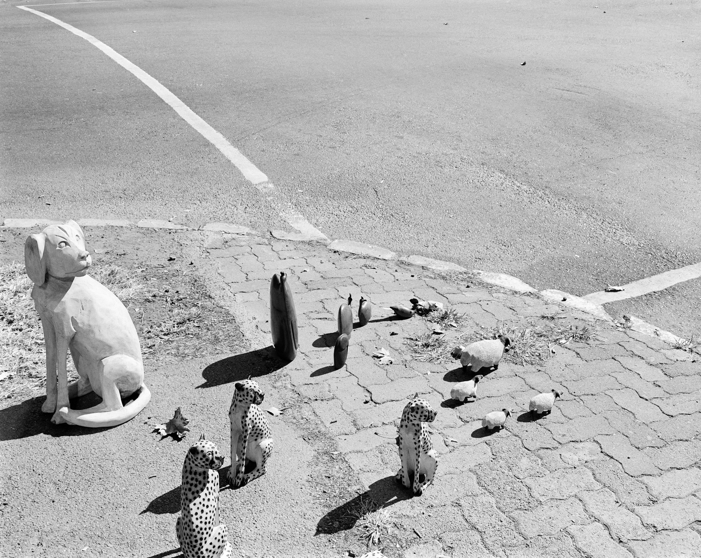 Carvings for sale at the corner of Central and Eleven Avenues, Houghton, Johannesburg. May 2006 (David Goldblatt—Courtesy of the Goodman Gallery)