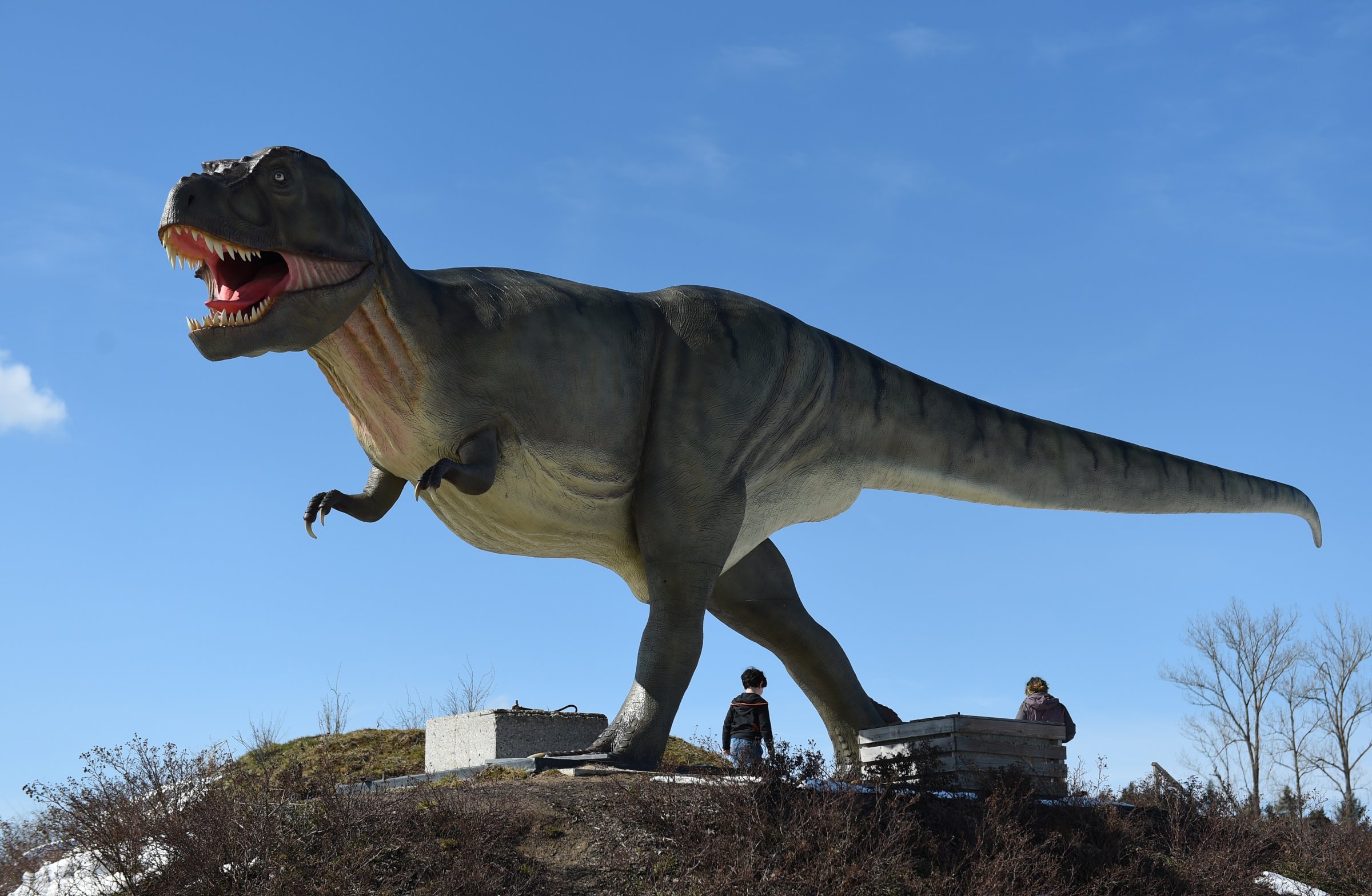 World's Biggest Winged Dinosaur Presented In Bavarian Museum