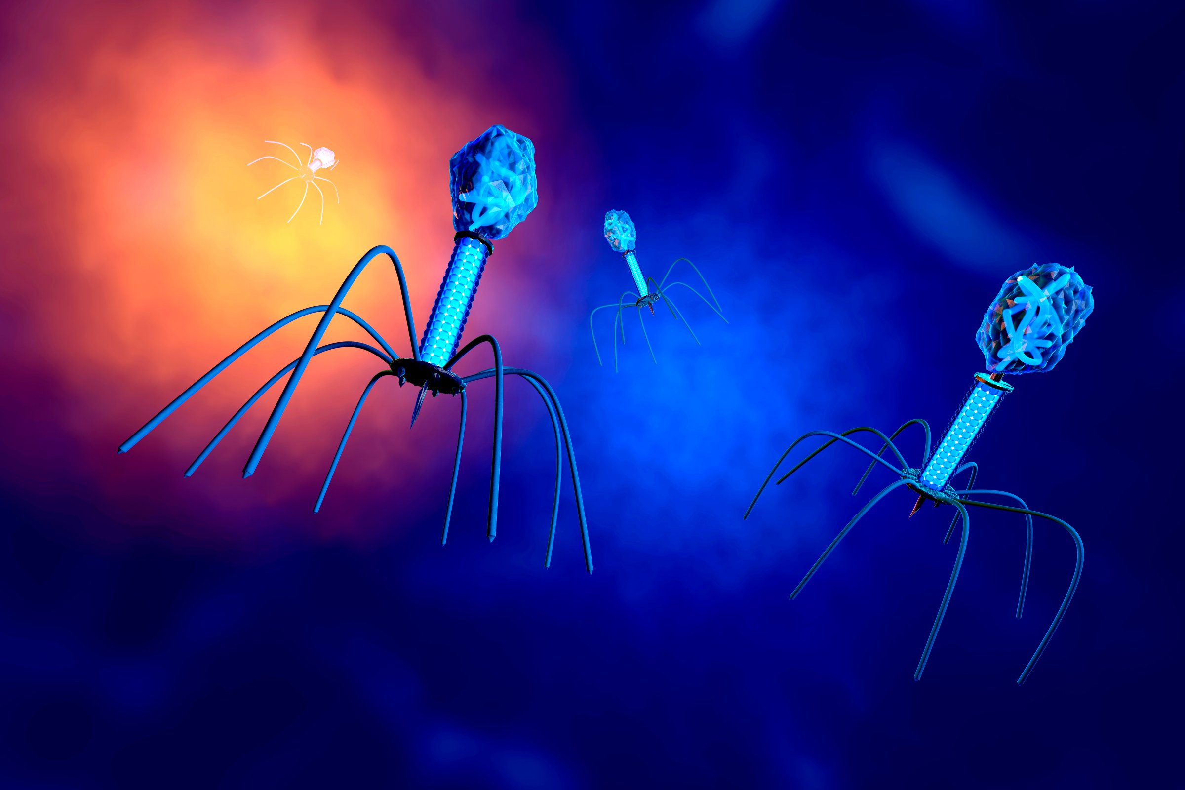3D rendered Illustration of a anatomically correct convergence to a group of bacteriophage viruses