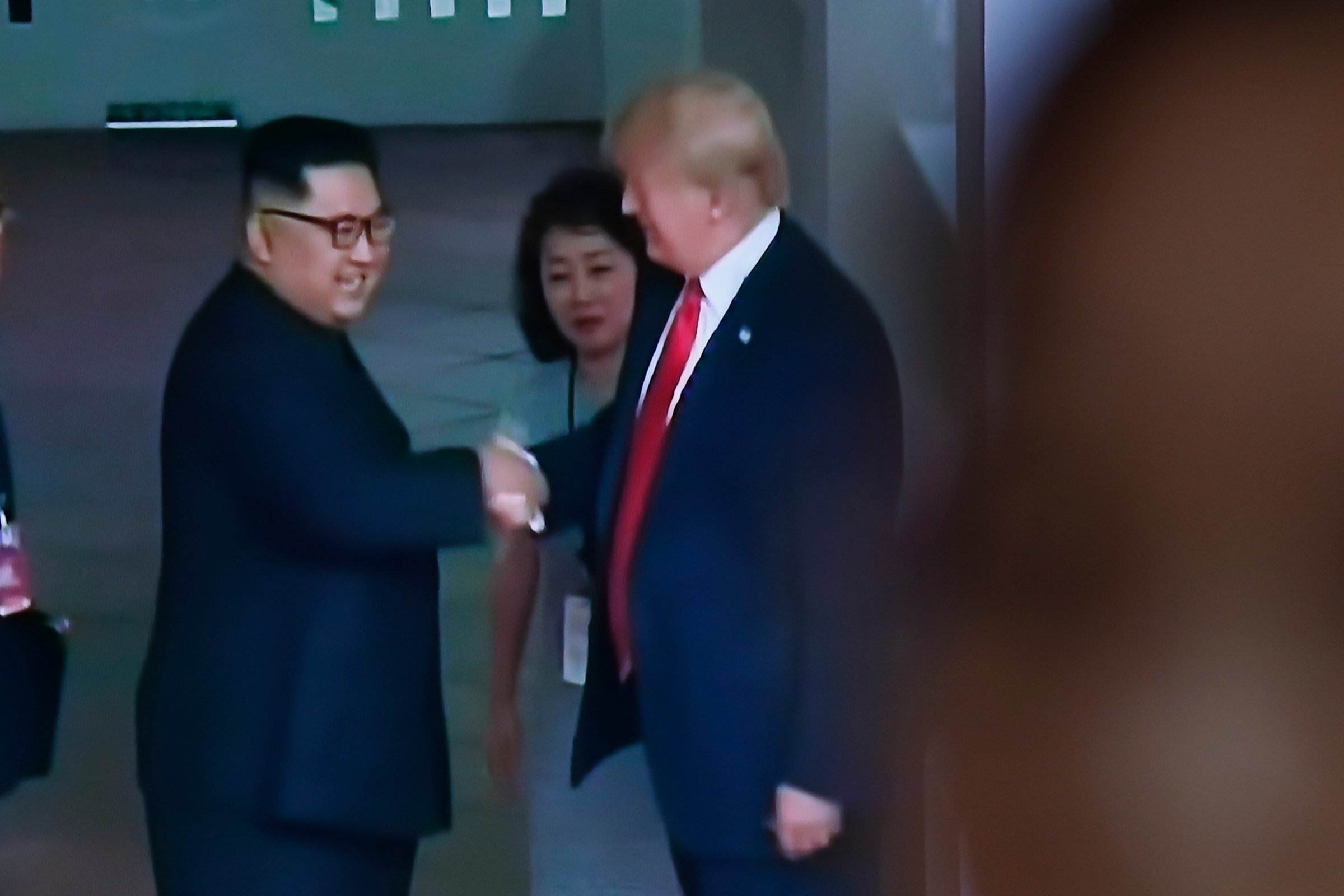 Yun Hyang Lee at the Trump-Kim Summit