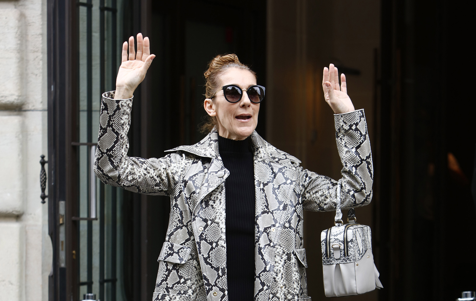 Celine Dion leaves her hotel in Paris