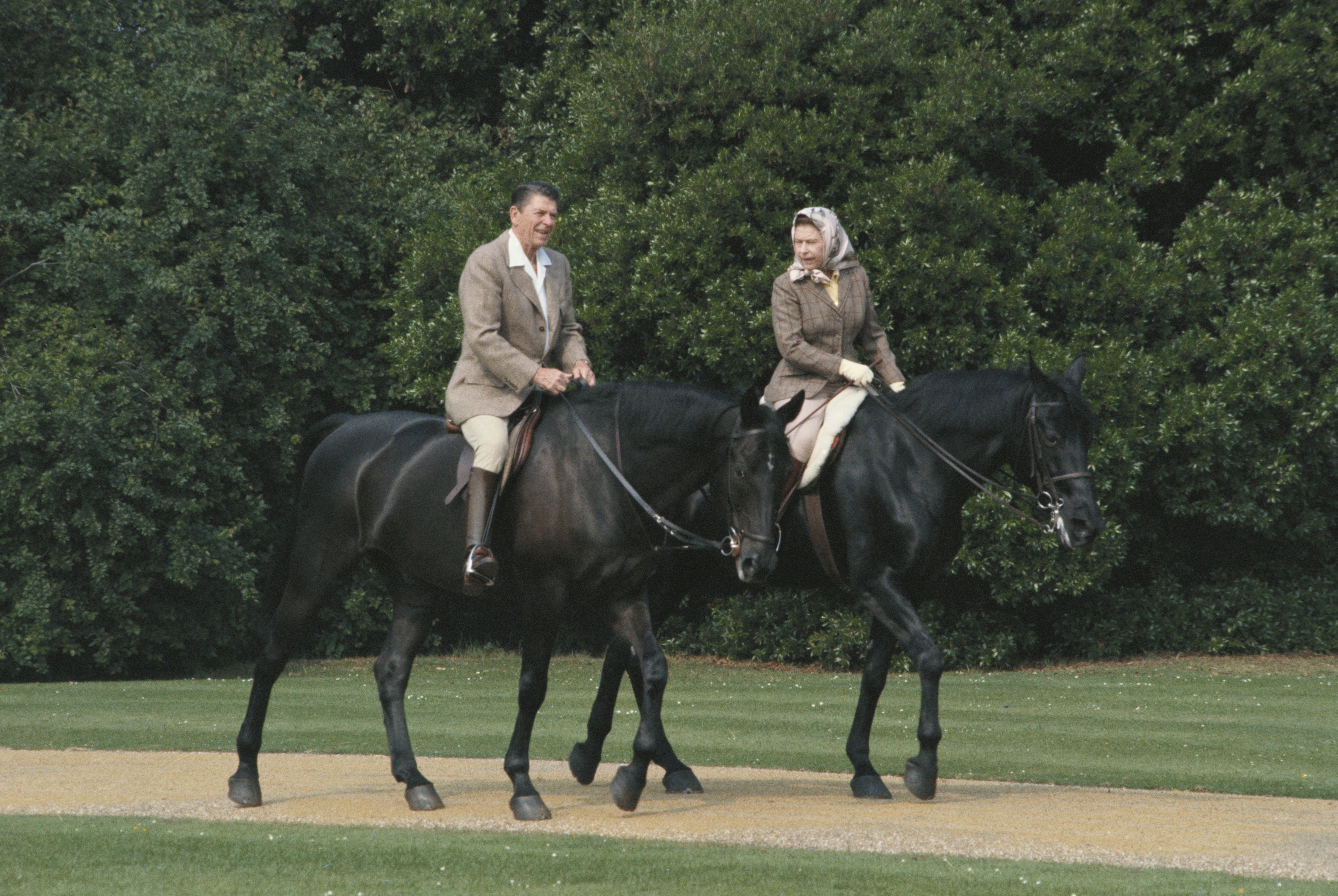 Queen Elizabeth II riding in the grounds of Windsor Castle with US President Ronald Reagan, during his state visit to the UK, 8th June 1982. (Georges De Keerle/Getty Images)