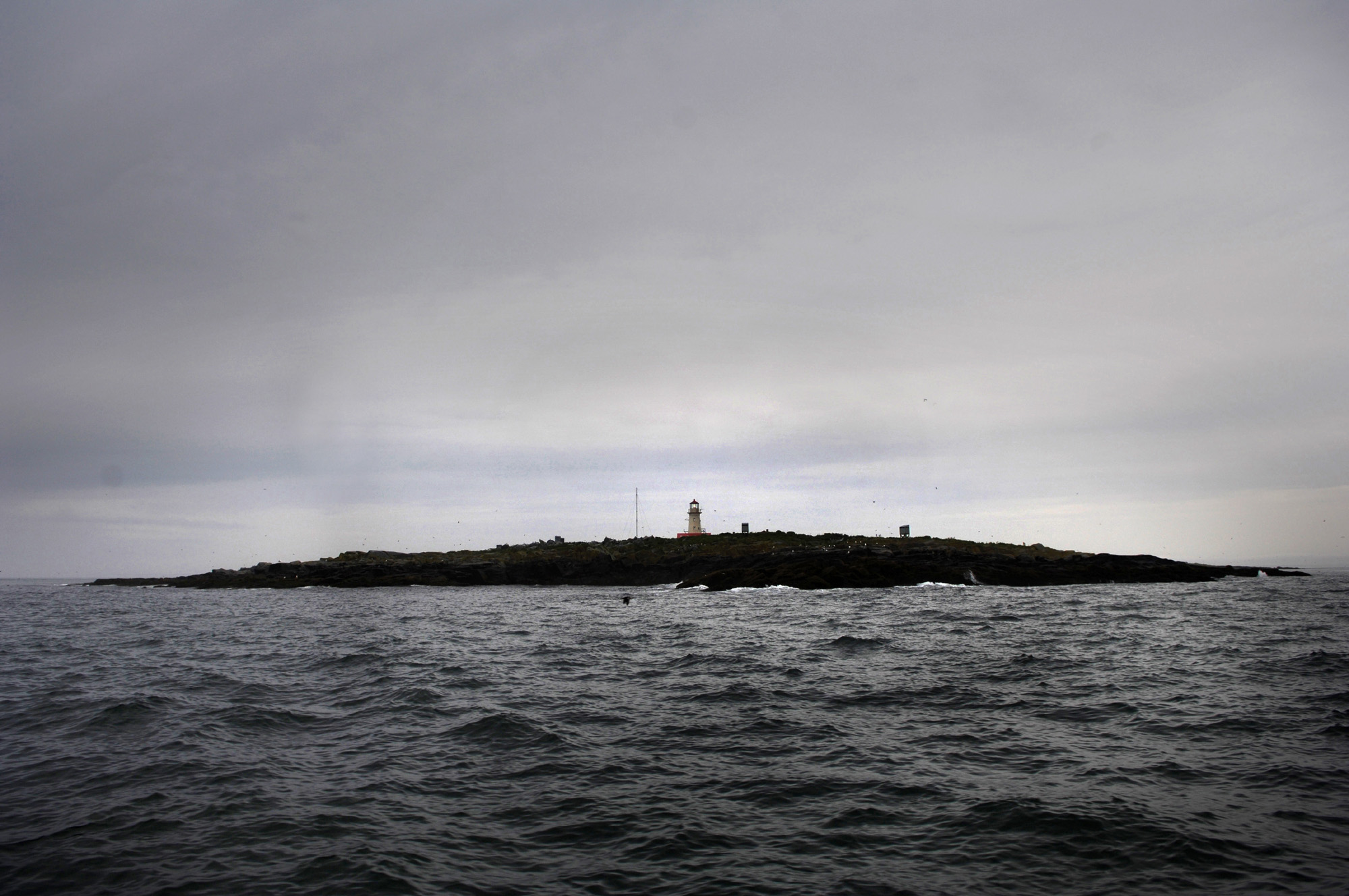 Machias Seal Island. (Portland Press Herald&mdash;Getty Images)