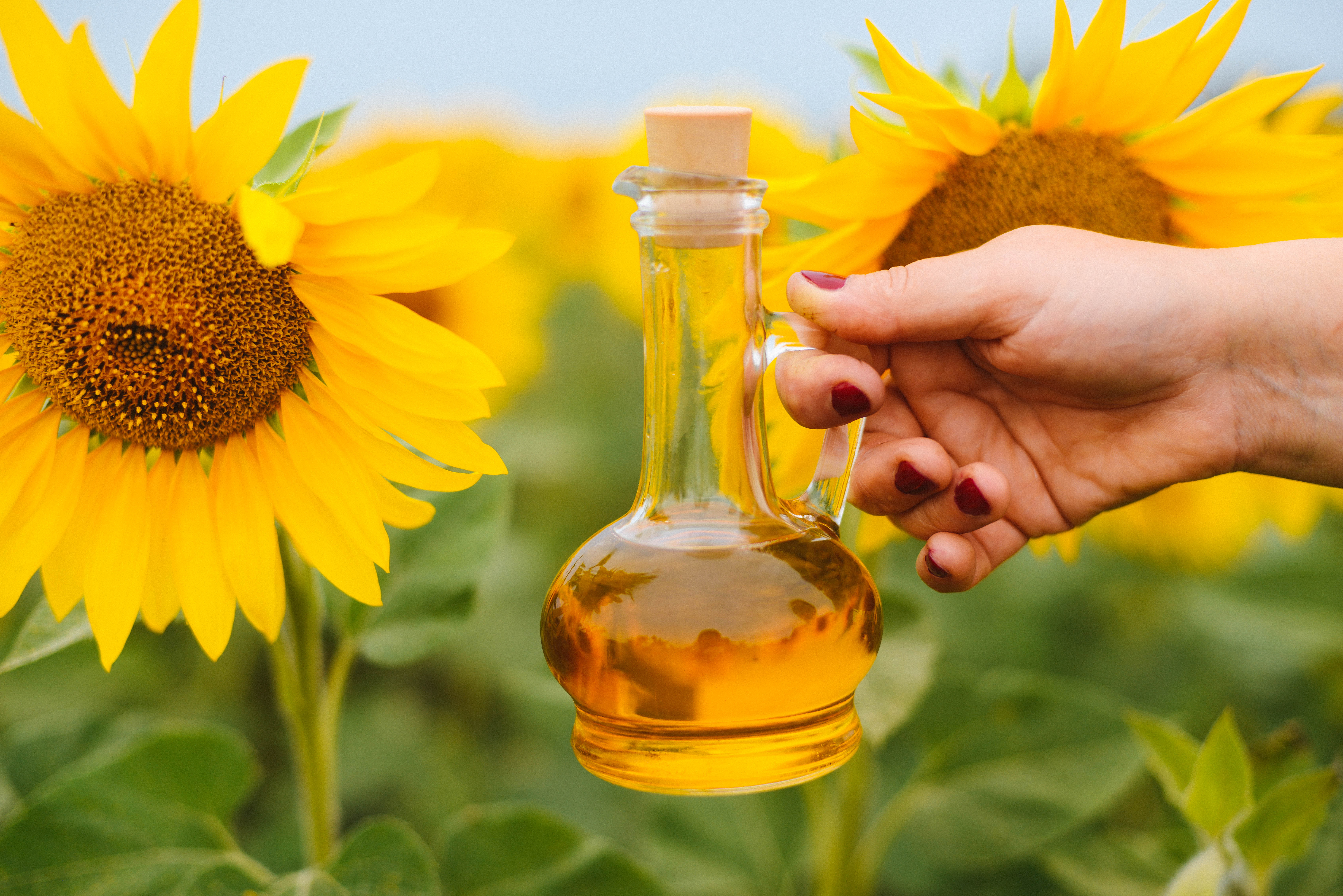 the 10 healthiest and least healthy oils to cook with | time