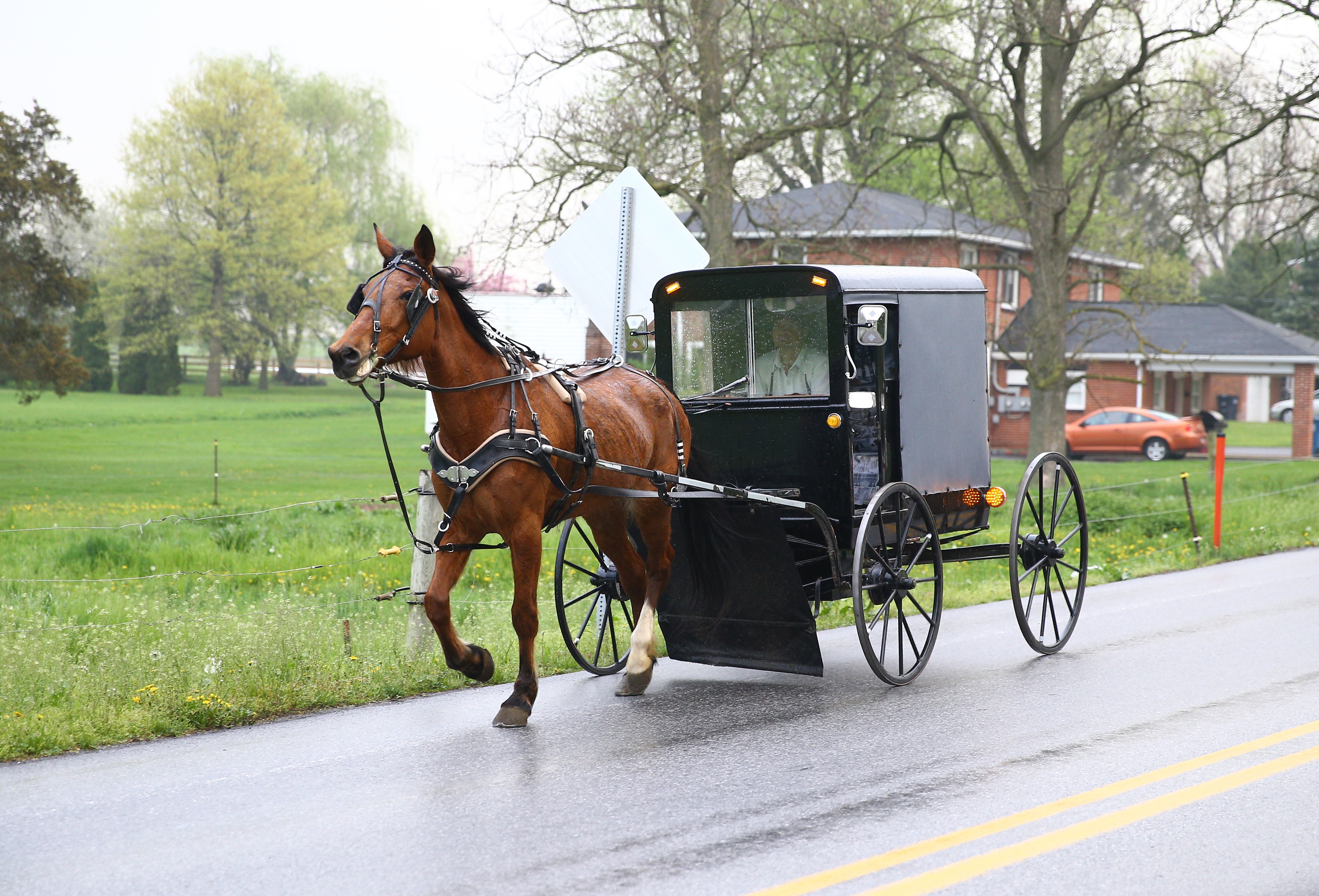 An Amish horse and a buggy are seen on the road in Central Pennsylvania, United States on April 30, 2017. (Anadolu Agency&mdash;Getty Images)