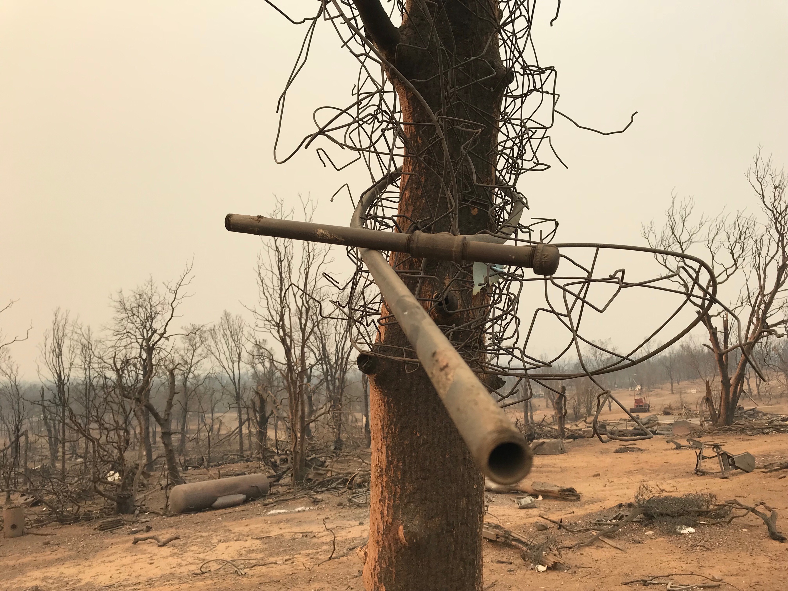 A gas pipe was stuck wrapped around a barren tree after a "fire tornado" erupted during the Carr Fire in Northern California near the city of Redding. (Courtesy of Craig Clements)