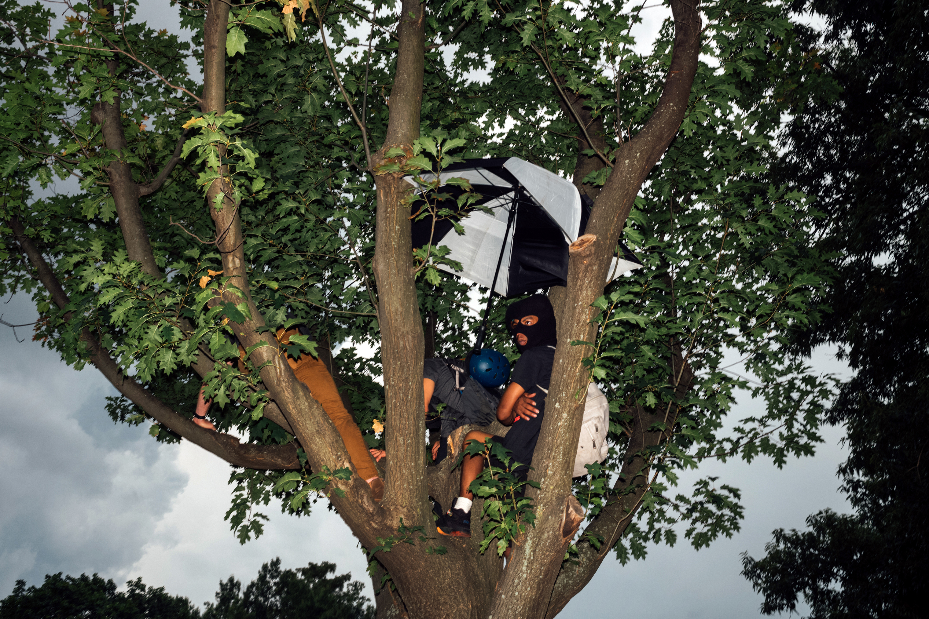 A group of counter-protesters sit in a tree. (Daniel Arnold for TIME)