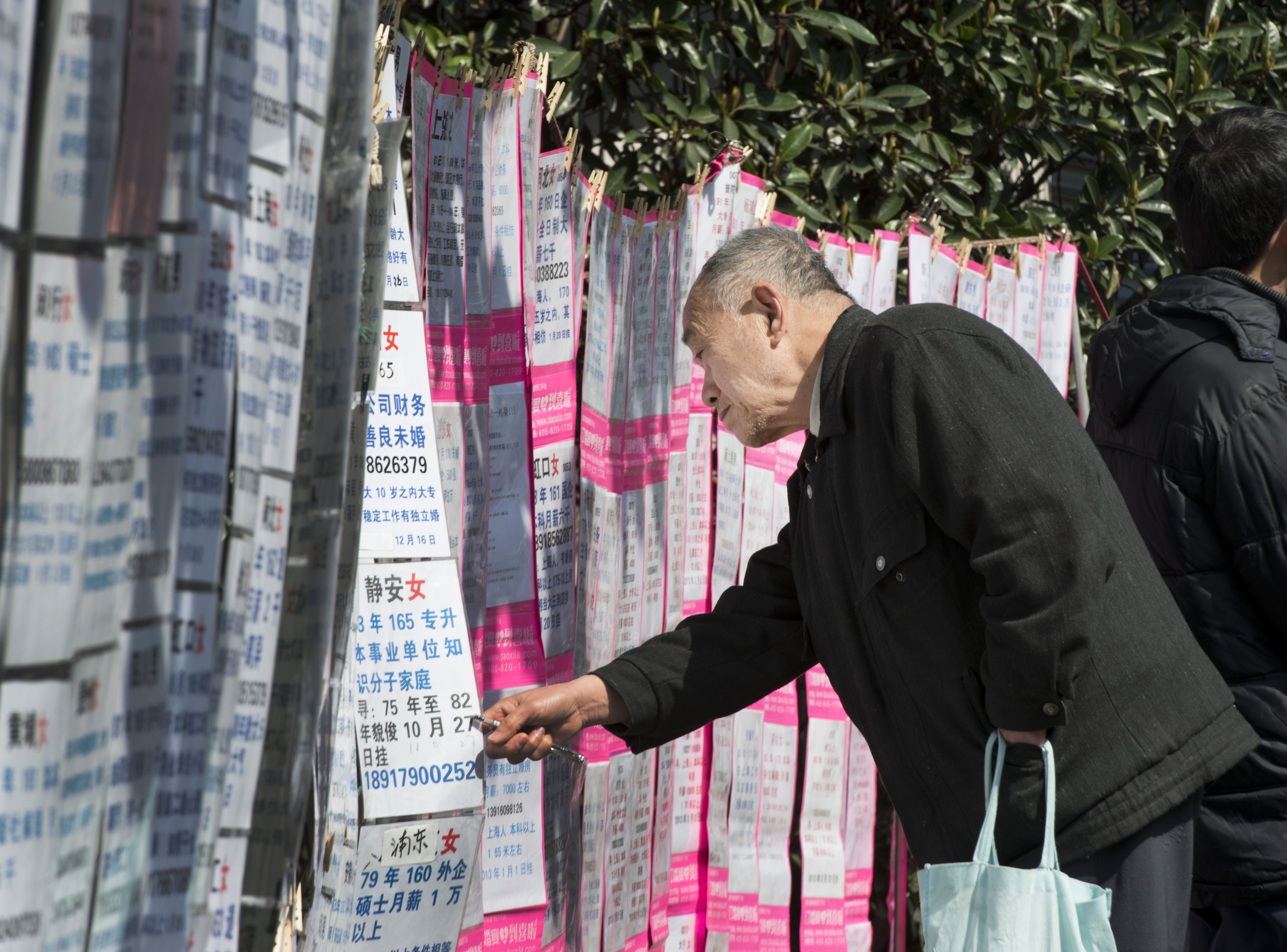 Parents desperate to find partners for their unmarried sons and daughters come to People's Park in Shanghai every weekend to post advertisements describing the desirable traits of their children. (Dave Cole—Penn State University/MCT/Getty Images)