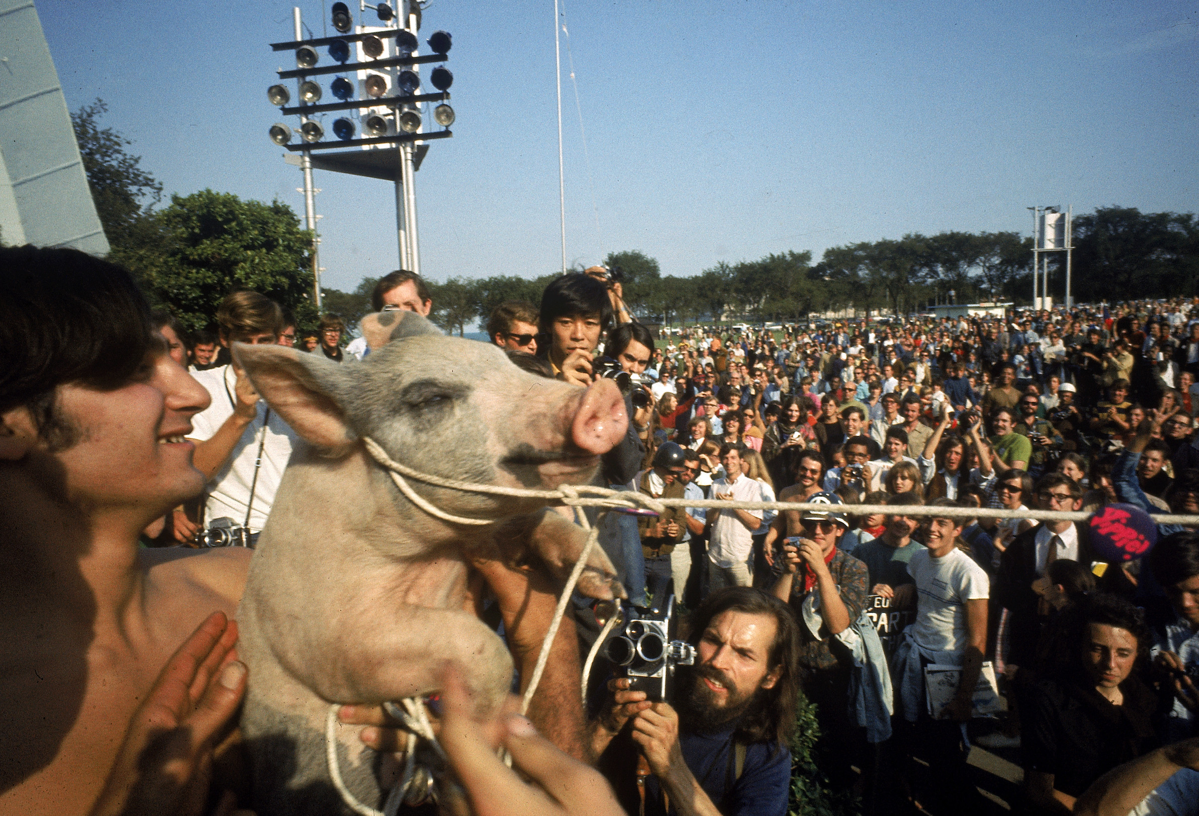 Yippies parading their Presidential candidate, Pigasus the pig, during the 1968 Democratic National Convention (Julian Wasser—The LIFE Images Collection/Getty Images)