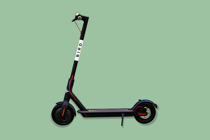 Bird scooter