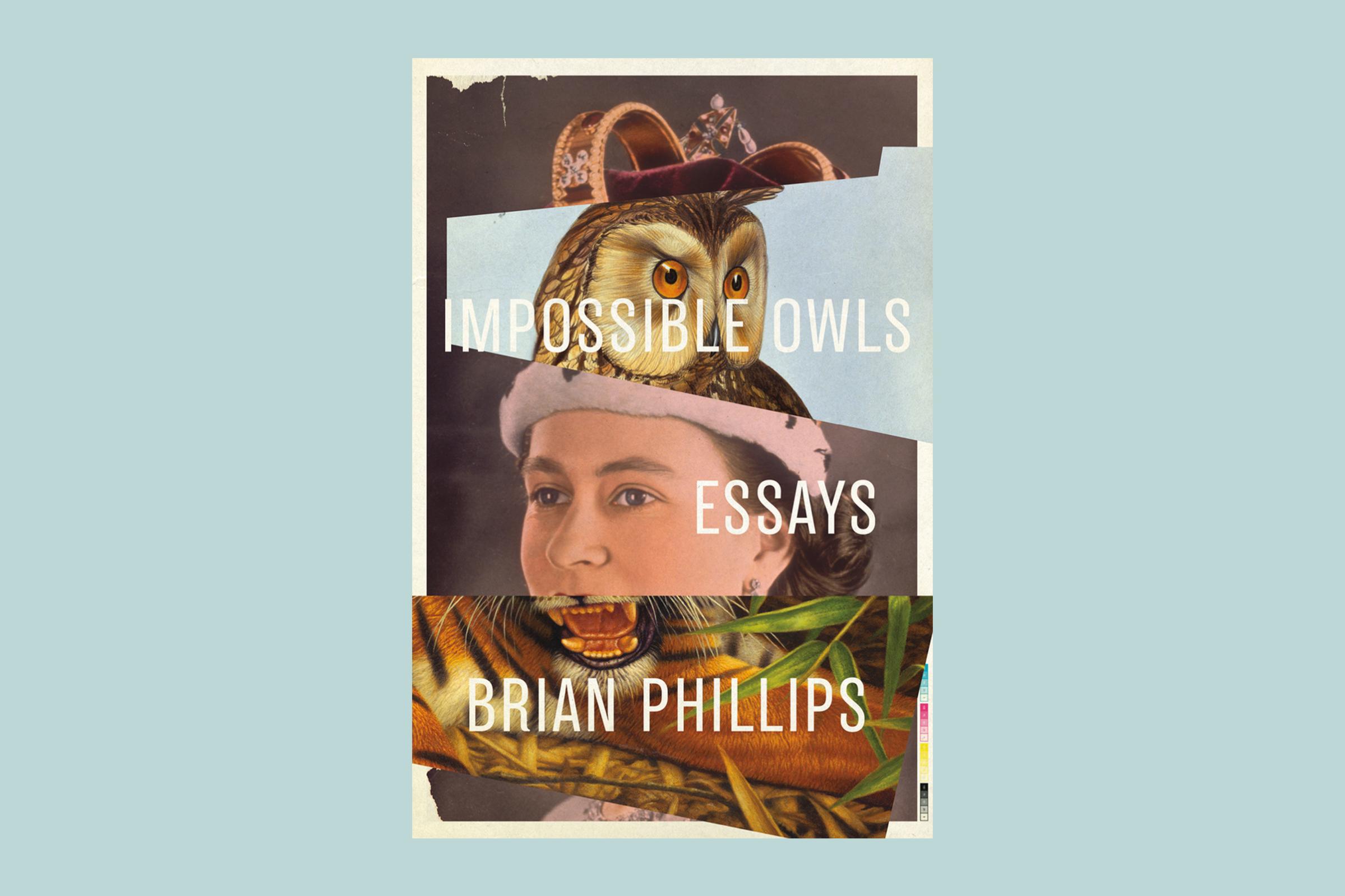 Impossible Owls Brian Phillips
