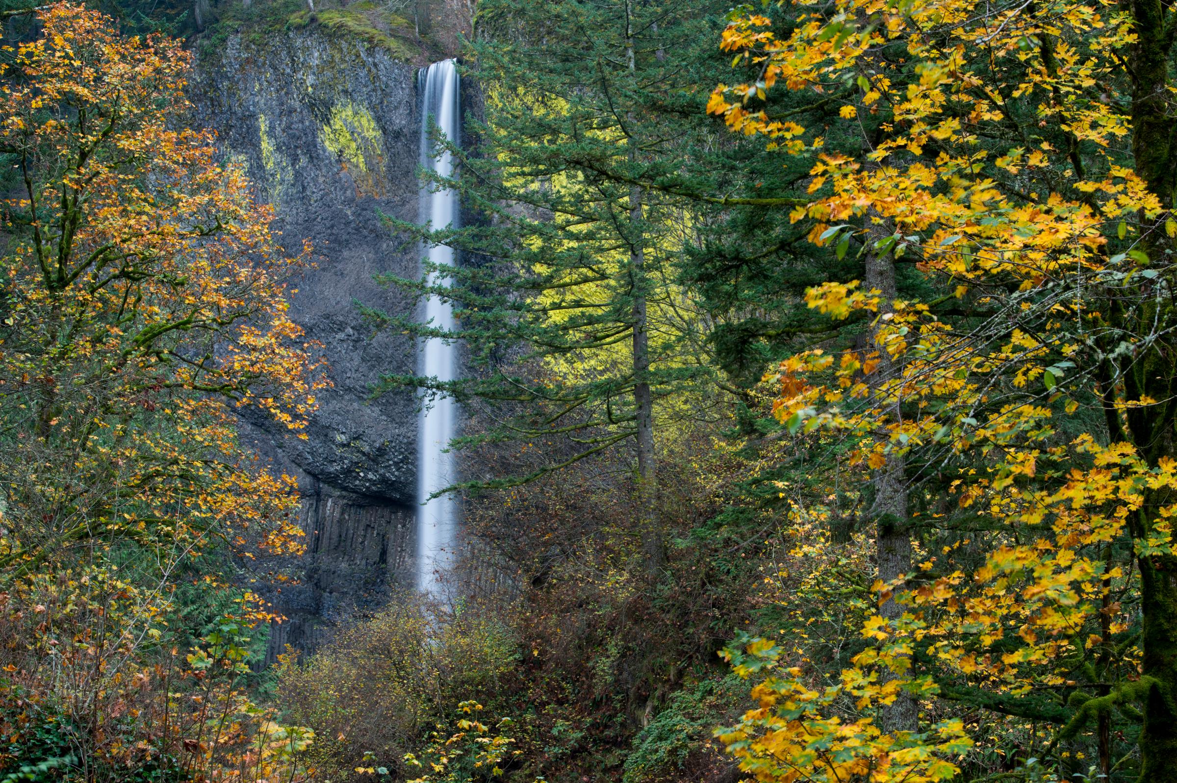 View of Latourell Falls in the fall, a waterfall near