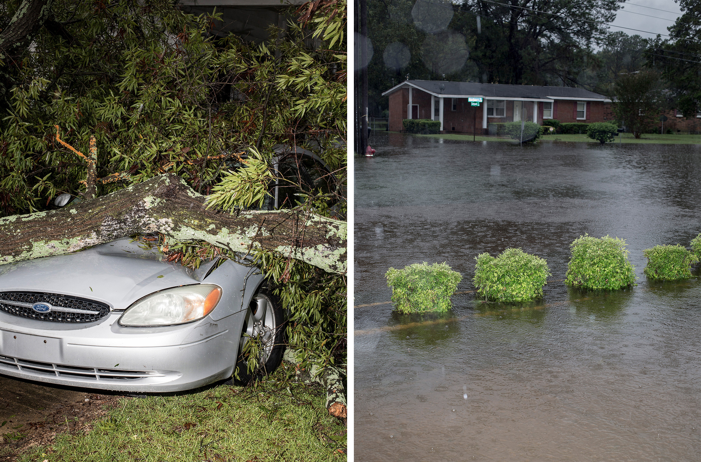 A car which was crushed by a fallen tree due to winds from Hurricane Florence in Goldsboro, N.C. on Sept. 15.; A view of Coy Coley's driveway in Goldsboro. (Bryan Anselm—Redux for TIME)