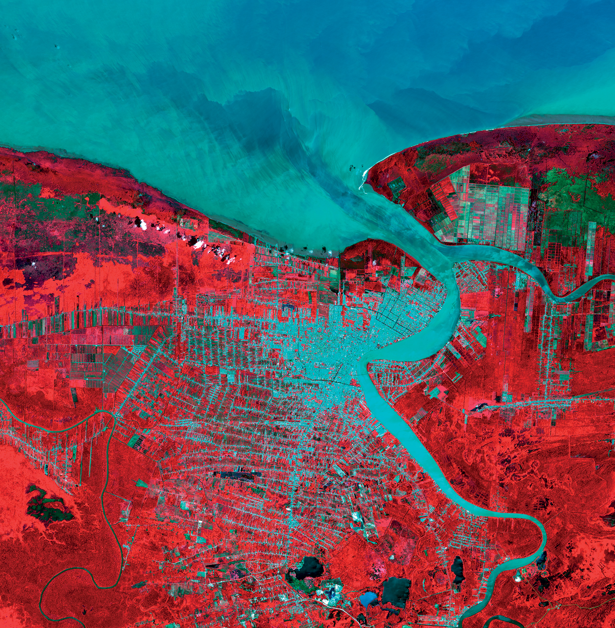<strong>Paramaribo, Suriname</strong> <em>1:244,000</em> A former Dutch colonial town, Paramaribo is formed by long agricultural plots — most likely remnants of what’s called “fishbone” deforestation due to paths (shown in light blue) cut into forested areas (red). These fishbone patterns are reminders of the resources needed to create the region’s Dutch-inspired wooden architecture as well as of the timber exported for urban construction materials. (Landsat OLI/TIRS)