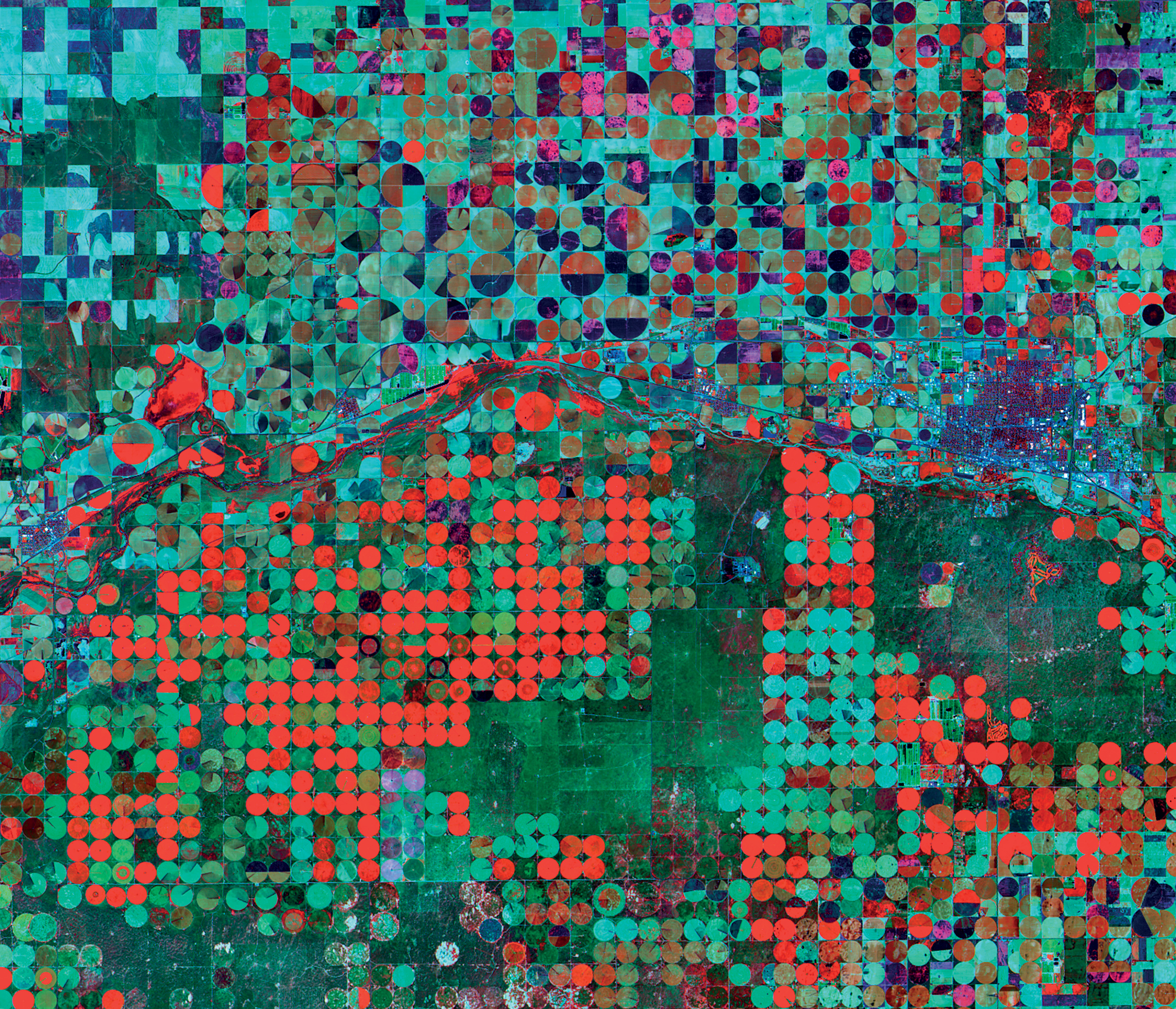 <strong>Garden City, Kansas, U.S.</strong> <em>1:202,000</em> Frank Zyback, a farmer from Colorado, invented “center-pivot” or circular irrigation in the 1940s, to provide efficient irrigation of croplands. This image captures different growth stages, water content, crop types and vegetation health of these circular plots. Less dense, newly planted crops, for example, appear in a brownish green north of the river horizontally bisecting the image. (Landsat OLI/TIRS)