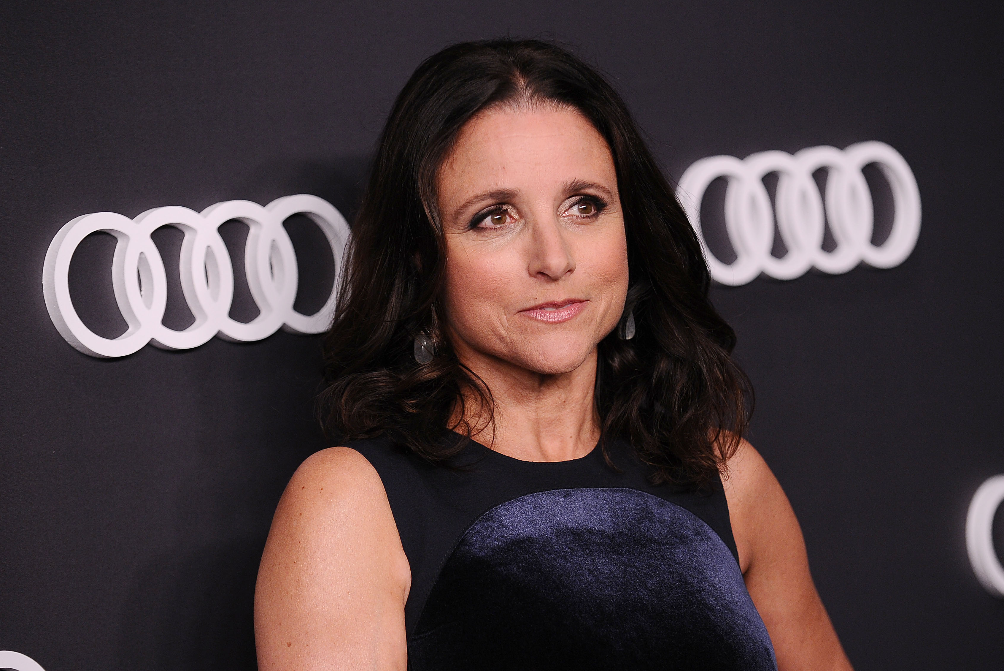 Actress Julia Louis-Dreyfus attends the Audi celebration for the 69th Emmys at The Highlight Room at the Dream Hollywood on September 14, 2017 in Hollywood, California. (Jason LaVeris - FilmMagic/Getty Images)