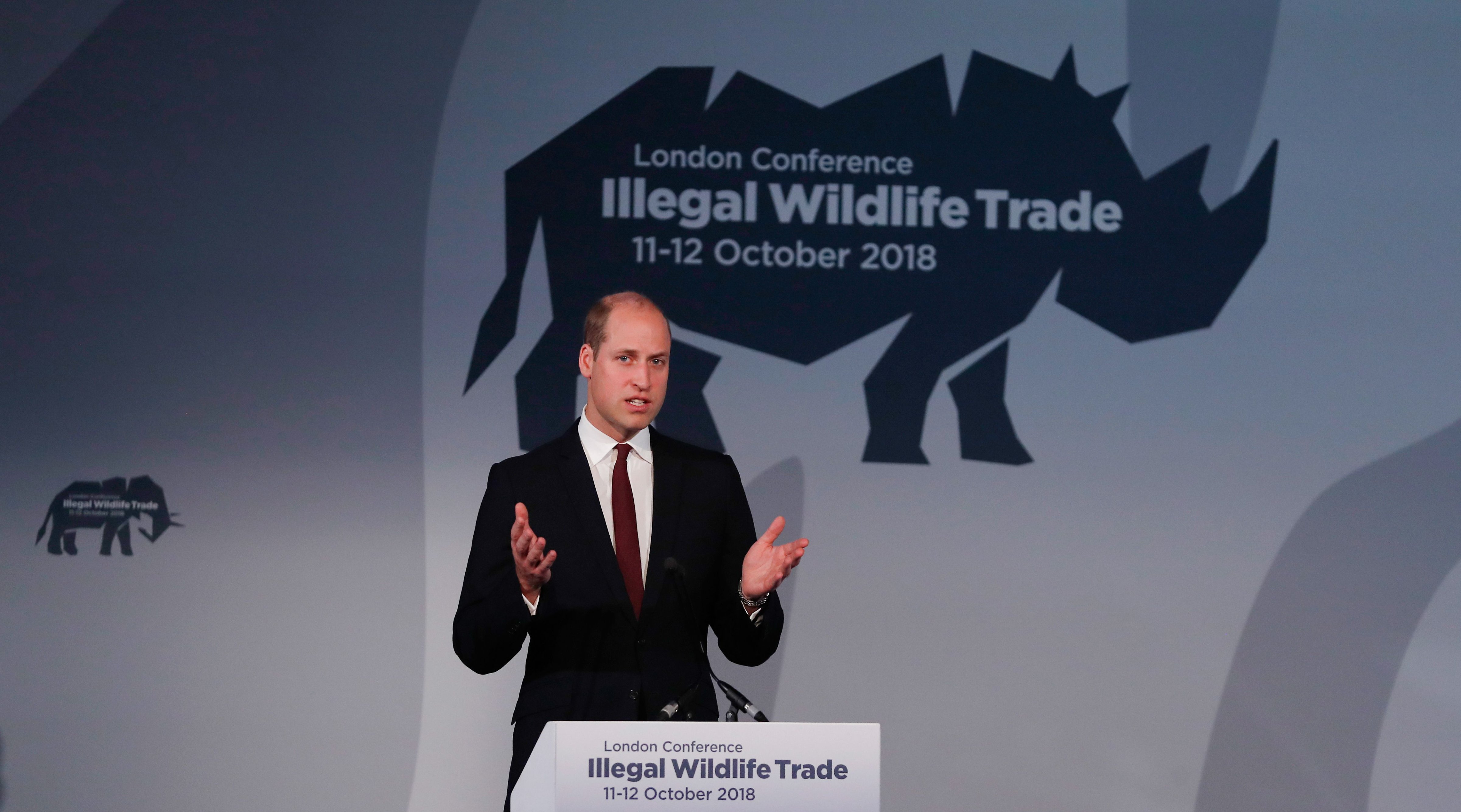 Britain's Prince William, Duke of Cambridge gives the keynote speech at the 2018 Illegal Wildlife Trade Conference in London on October 11, 2018. (ALASTAIR GRANT&mdash;AFP/Getty Images)