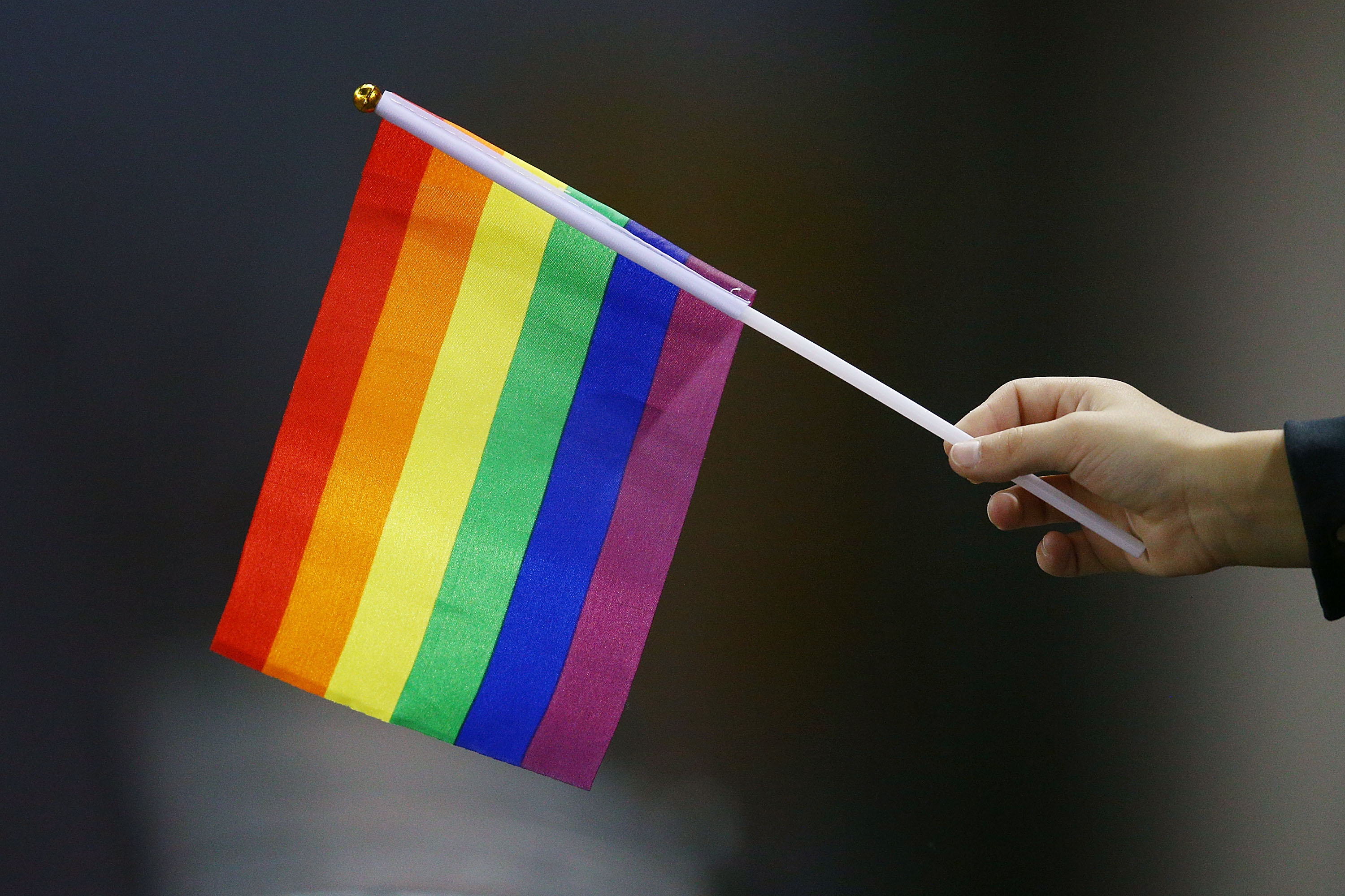 A rainbow gay pride flag is seen during an Australian Football League match on June 9, 2018 in Melbourne, Australia. (Michael Dodge&mdash;Getty Images)