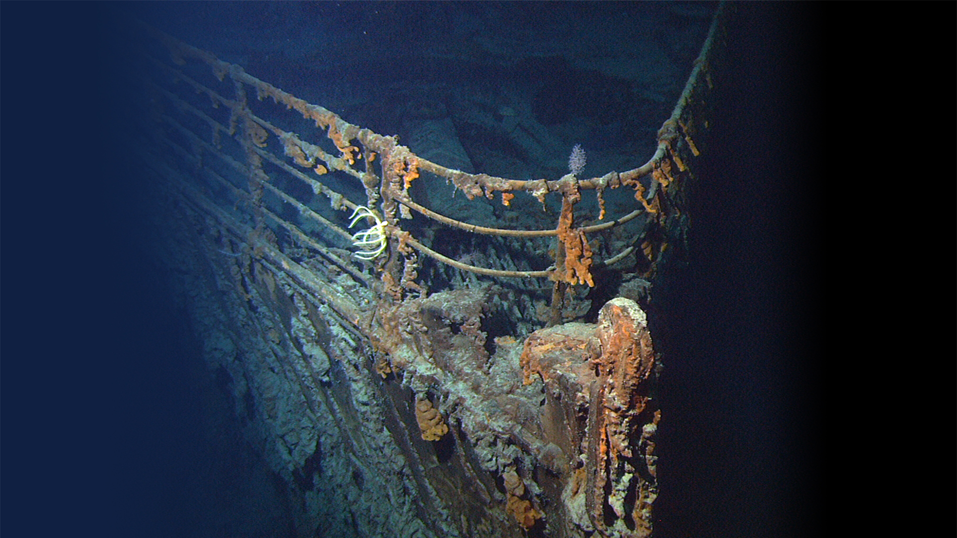 New Footage of the Titanic Has Some Experts Predicting the Shipwreck Might  Have About 30 Years Left | Time