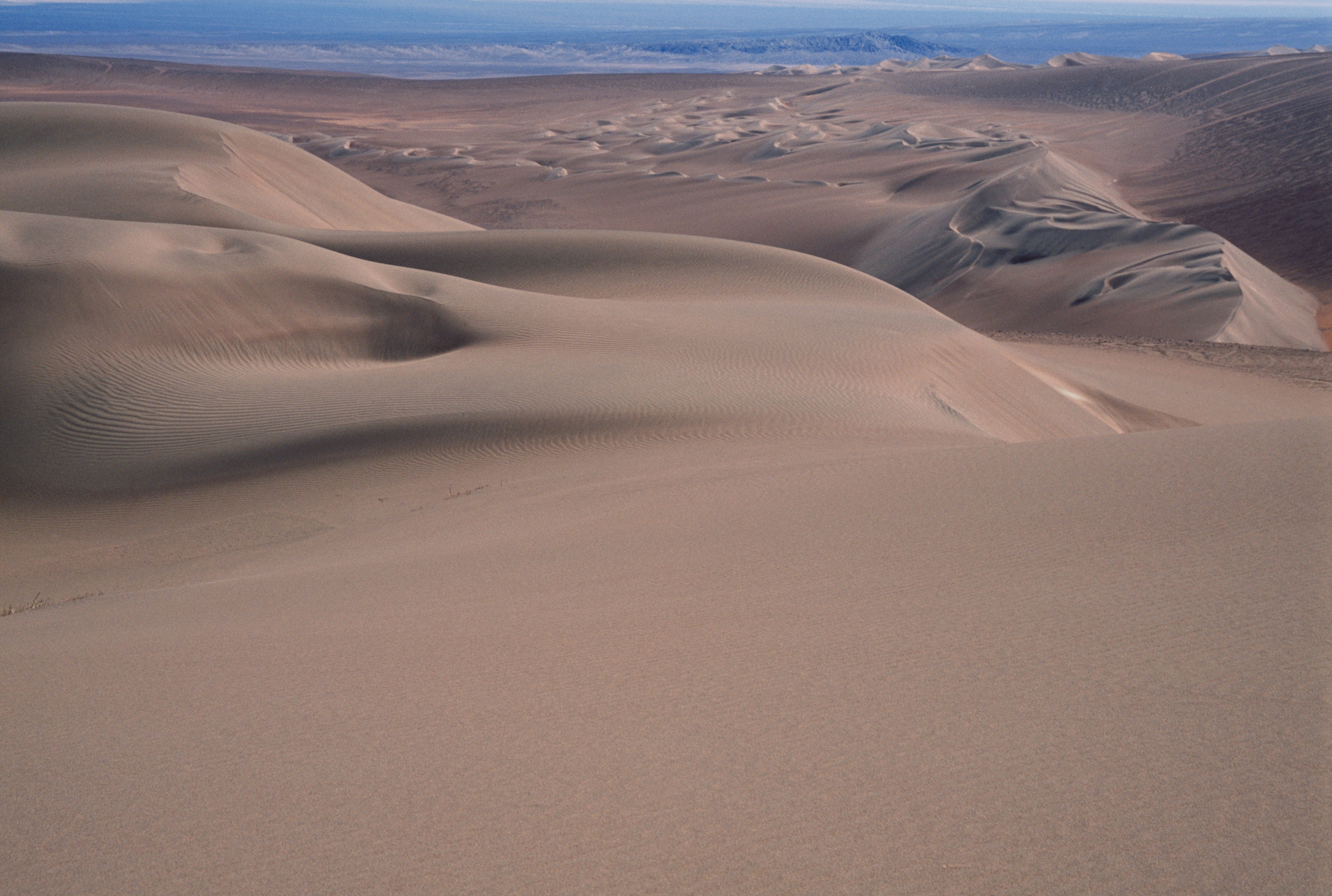 The Atacama desert near Pica, Salar de Huasco National Park, Chile. (DEA / V. GIANNELLA; De Agostini via Getty Images)