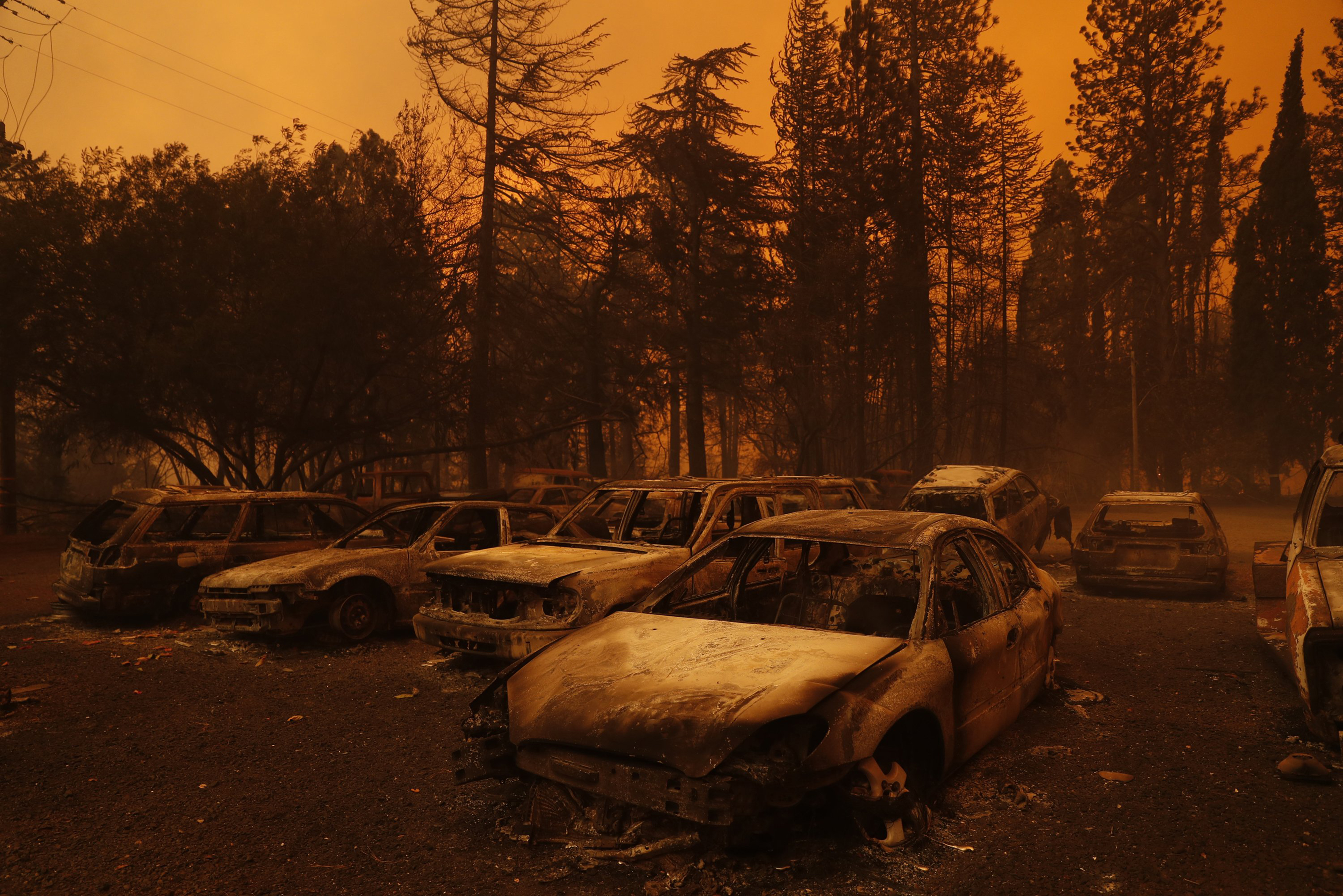 Burned vehicles during the Camp Fire in Paradise, Calif. on Nov. 8. (Scott Strazzante—San Francisco Chronicle/Polaris)