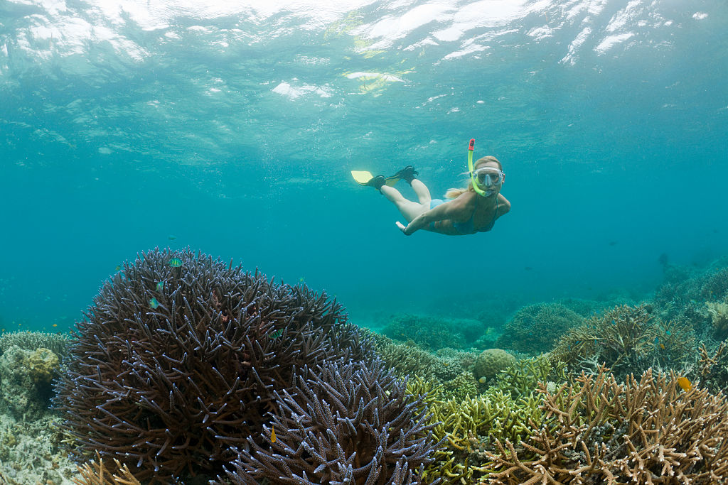 A snorkeler in Palau among its world-famous coral reefs. (ullstein bild—ullstein bild via Getty Images)