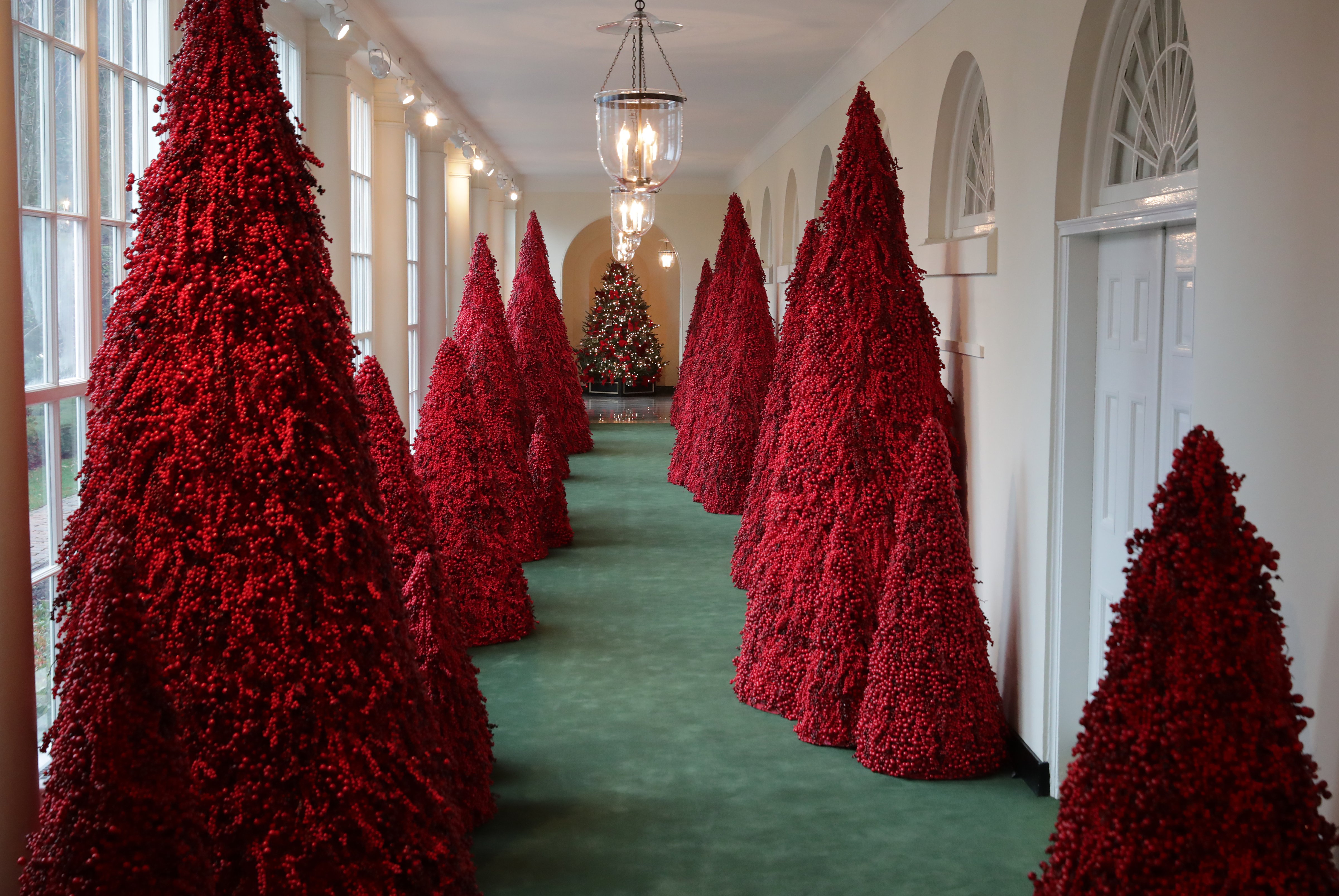 More than 40 red topiary trees line the East colonnade as part of the holiday decorations at the White House. (Chip Somodevilla—Getty Images)