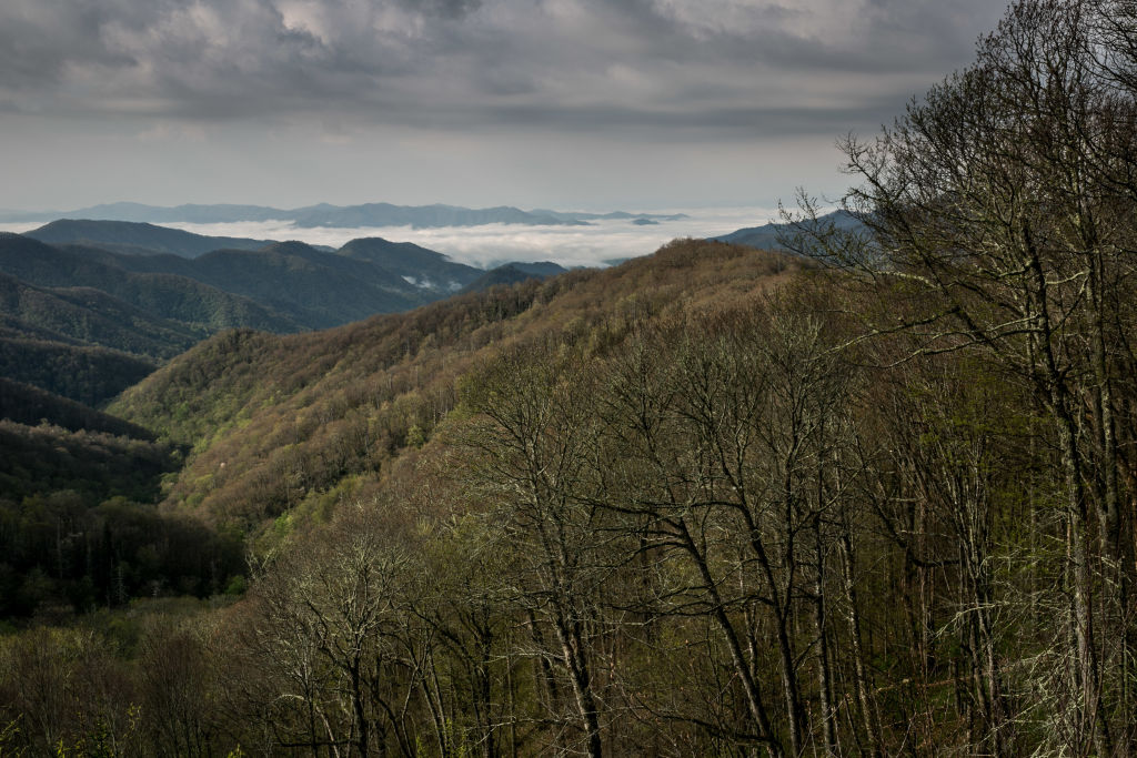 Exploring Great Smoky Mountains National Park
