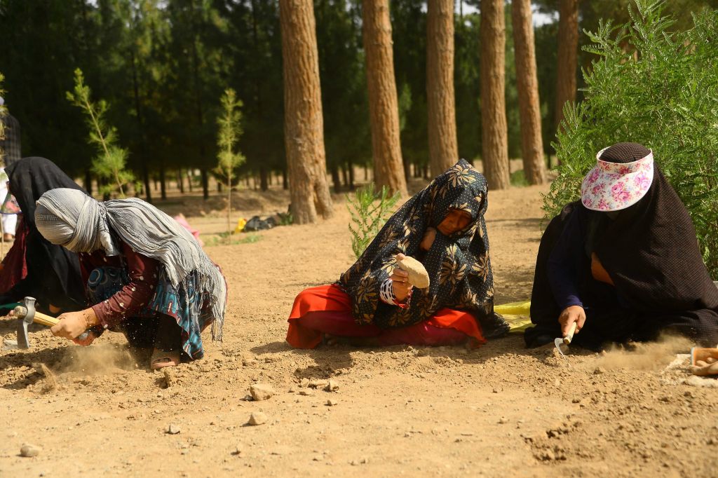 Afghan women work the soil at a park in the city of Herat on June 2, 2018. According to the World Bank, 19 percent of Afghan women had official jobs in 2017. (Hoshang Hashimi—AFP/Getty Images)