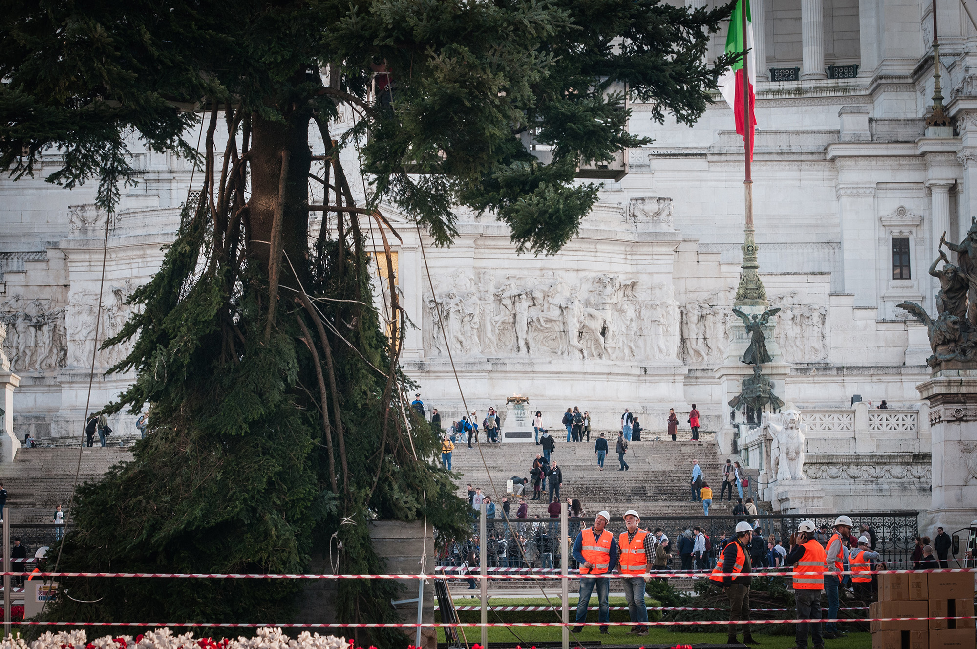 Rome's Official Christmas Tree