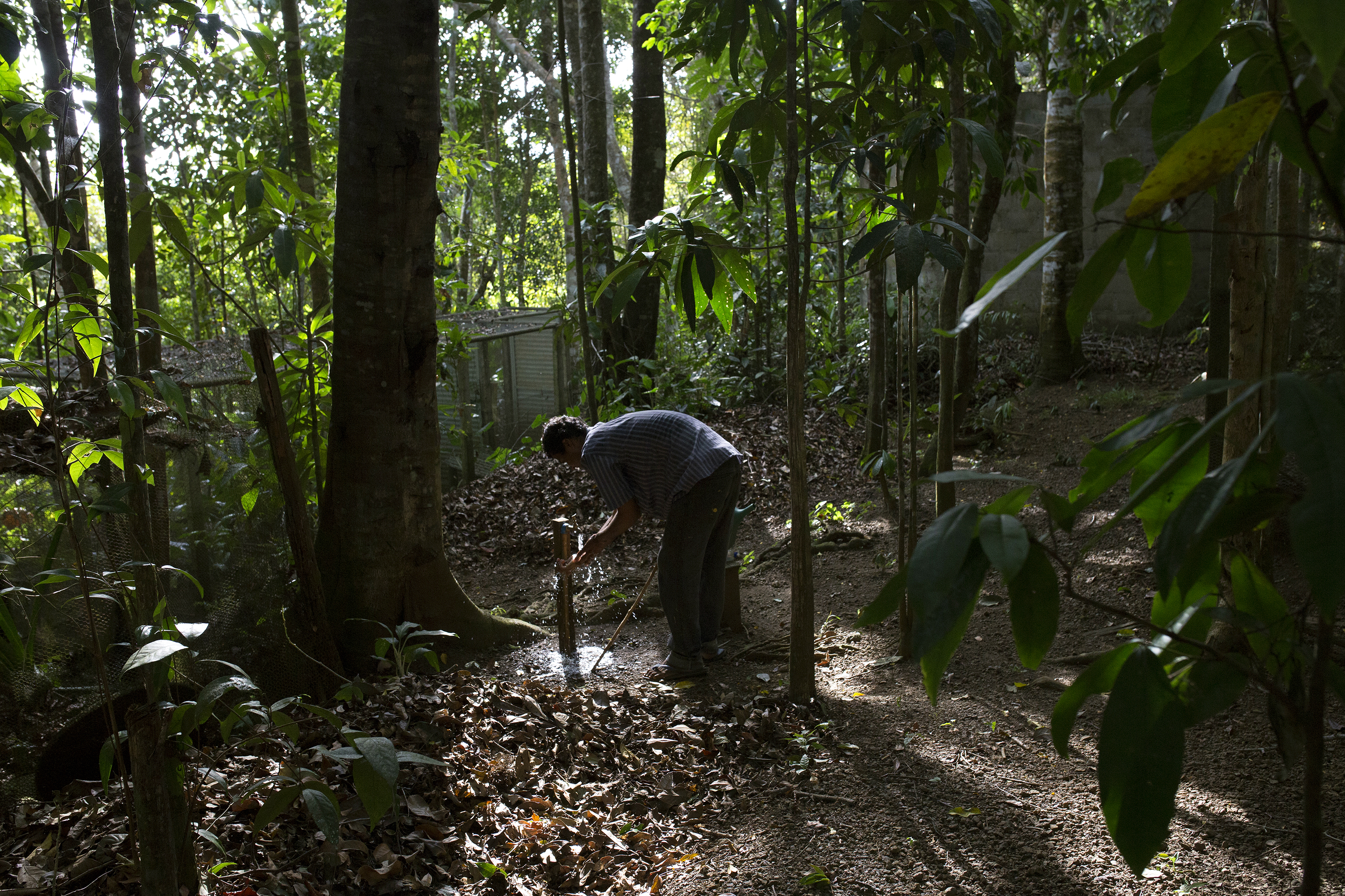 Claudio Barreto, the sanctuary caretaker, washes his hands at the snake sanctuary in Serra Grande, Brazil. (Stephanie Foden)