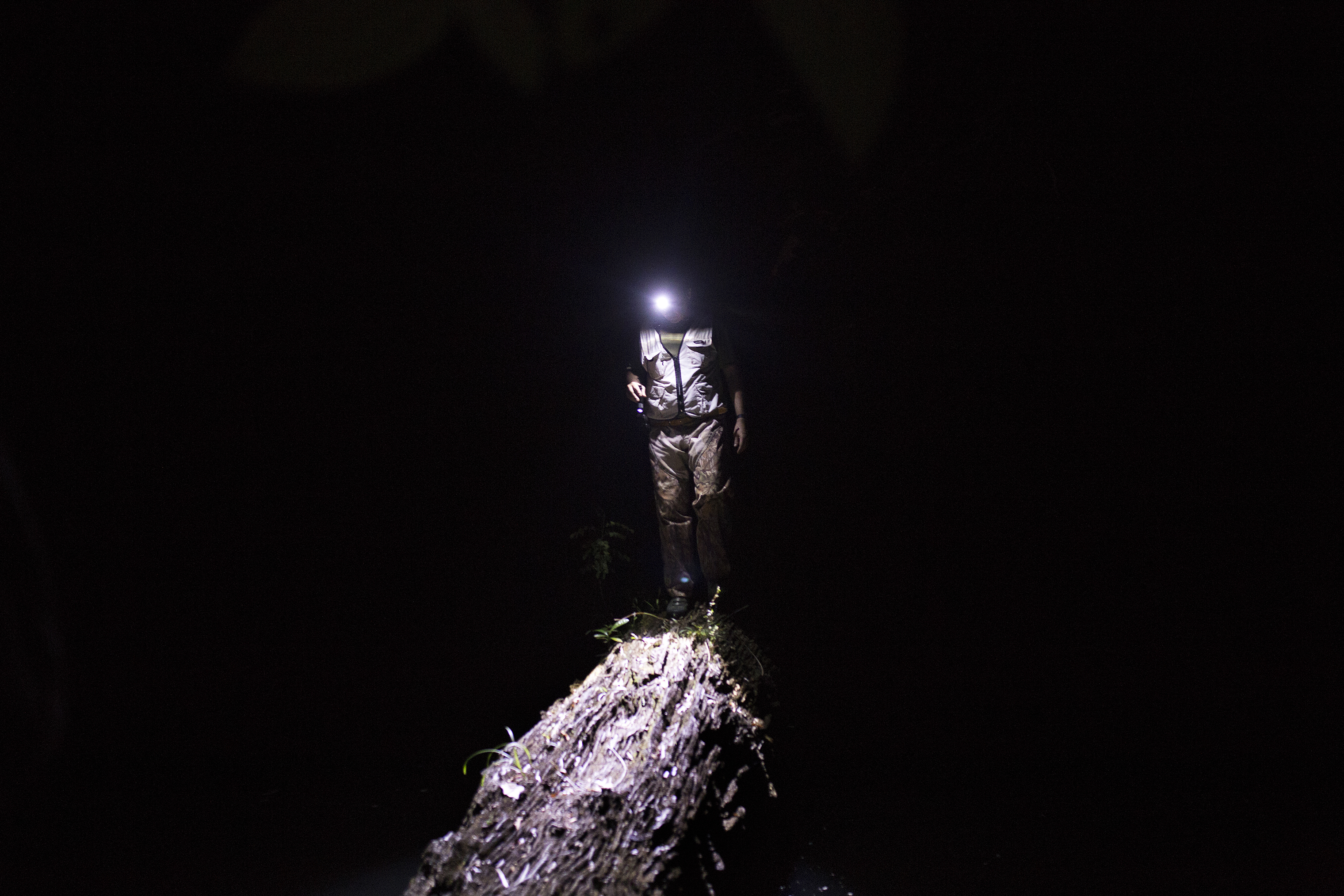 Dr. Rodrigo Souza walks across a log over a river on a night hike in Serra Grande. (Stephanie Foden)