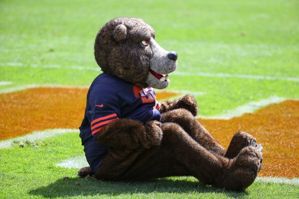 Bears Mascot Wins Internet As Bears Lose To Eagles Time